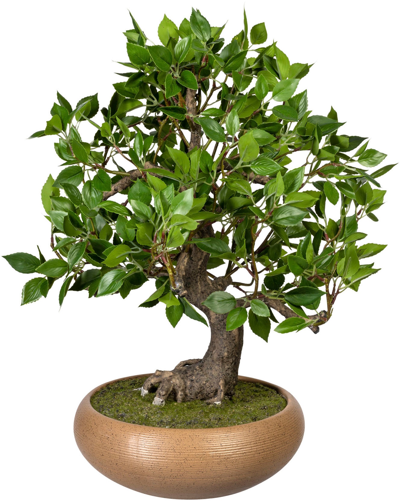 Kunstbonsai »Bonsai Ficus«