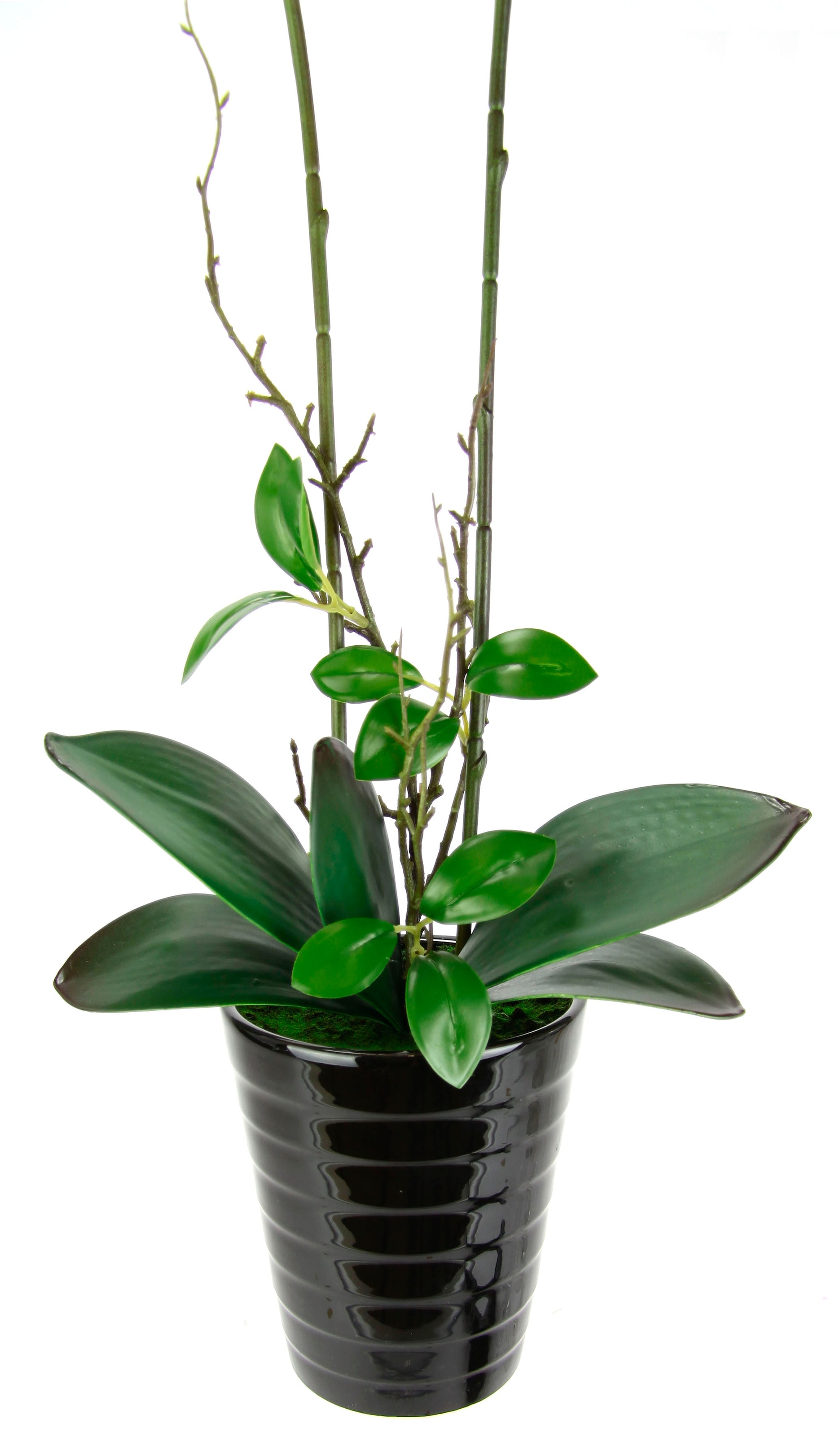 kaufen OTTO Orchidee »Orchidee«, Im Hochzeit Shop Online Übertopf Topf im Phalaenopsis Kunstblume I.GE.A. Phalaenopsis mit