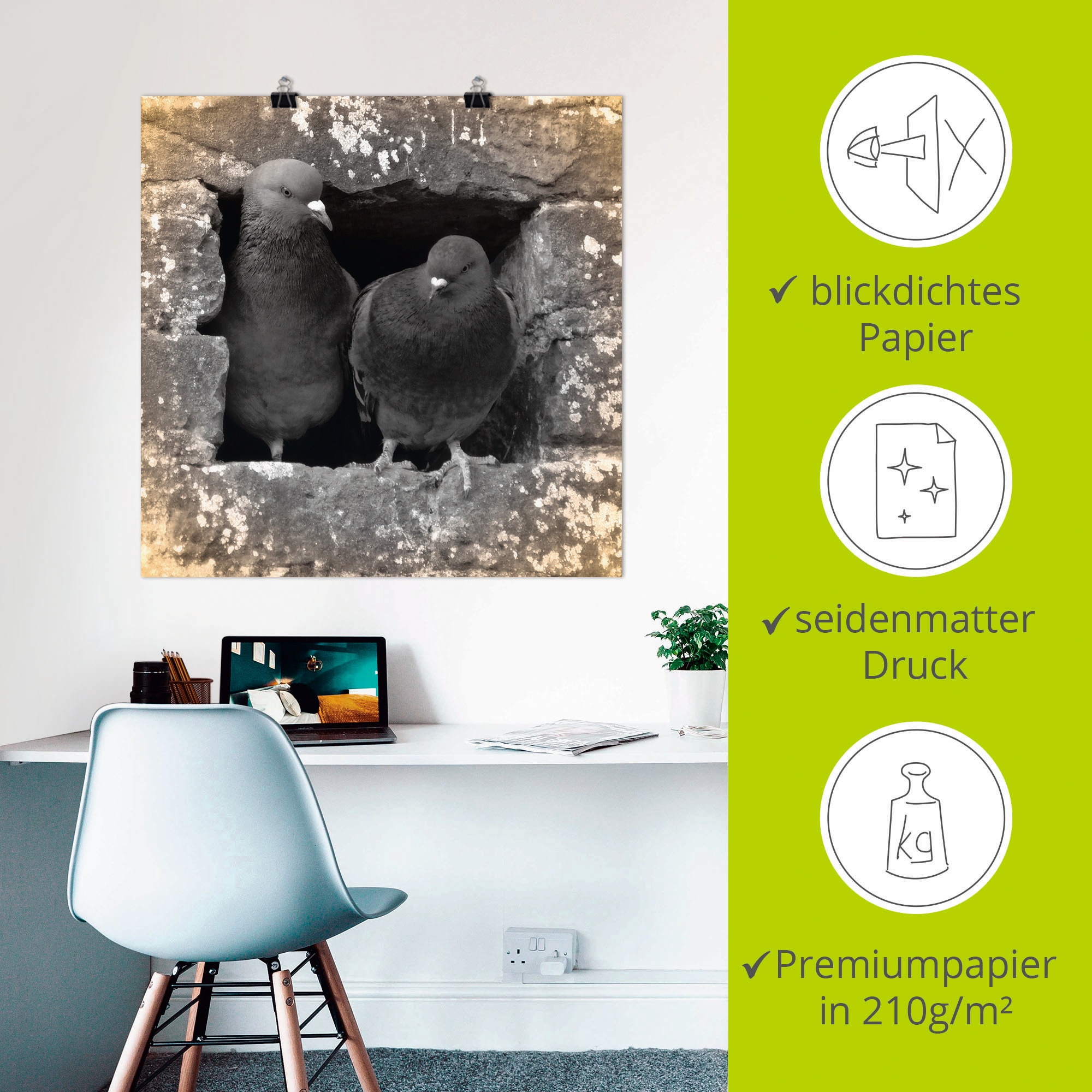 Artland Wandbild »Tauben Liebe« Vögel 1 Stk. tlg. als Alubild, Outdoorbild, Leinwandbild, Poster in verschied. Größen