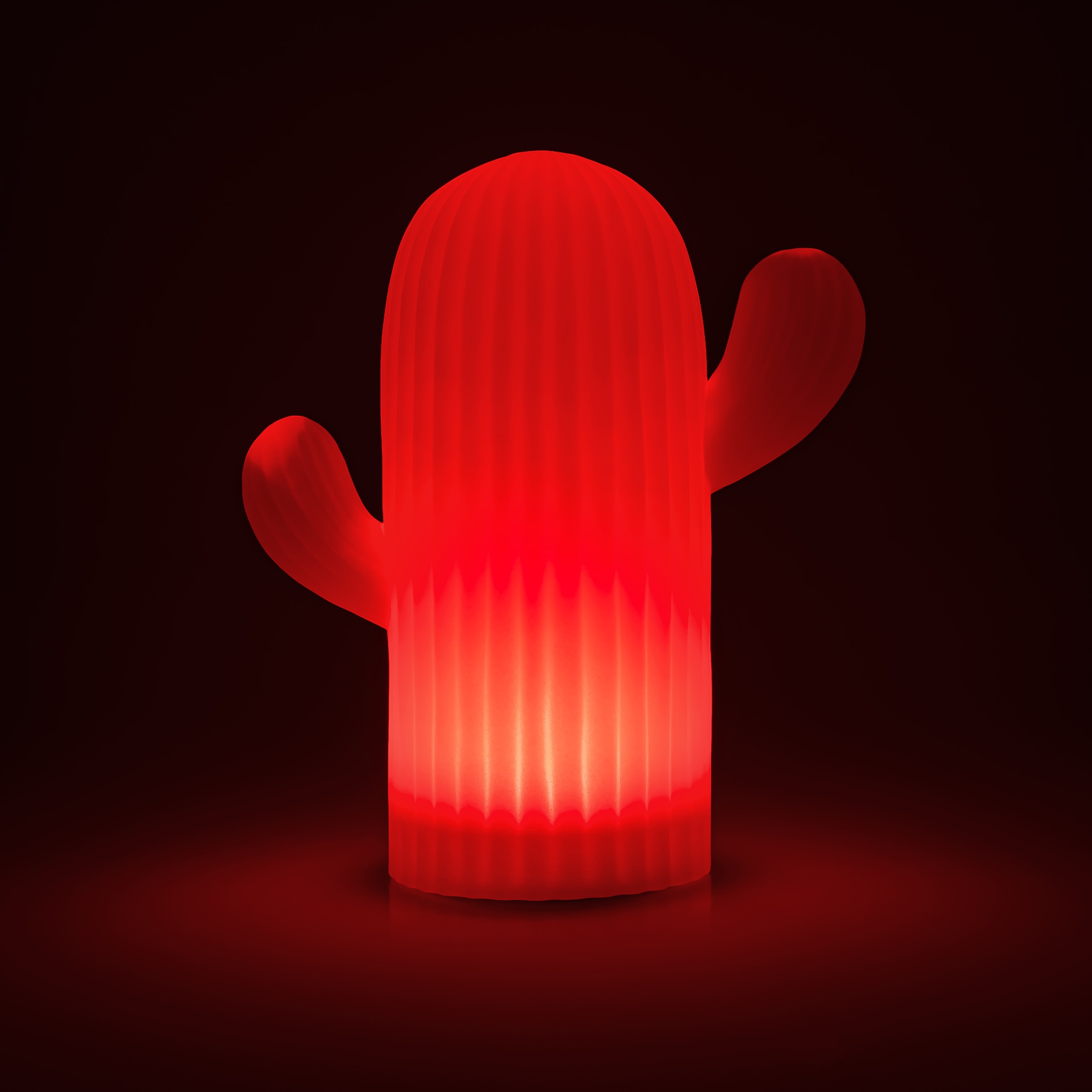 my home LED Solarleuchte »Elowyn, LED-Solar Kaktus« LED-Modul 1 Stk. RGB | Warmweiß mit Erdspieß und Fernbedienung