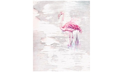 Komar Vliestapete »Pink Flamingo«, tropisch kaufen