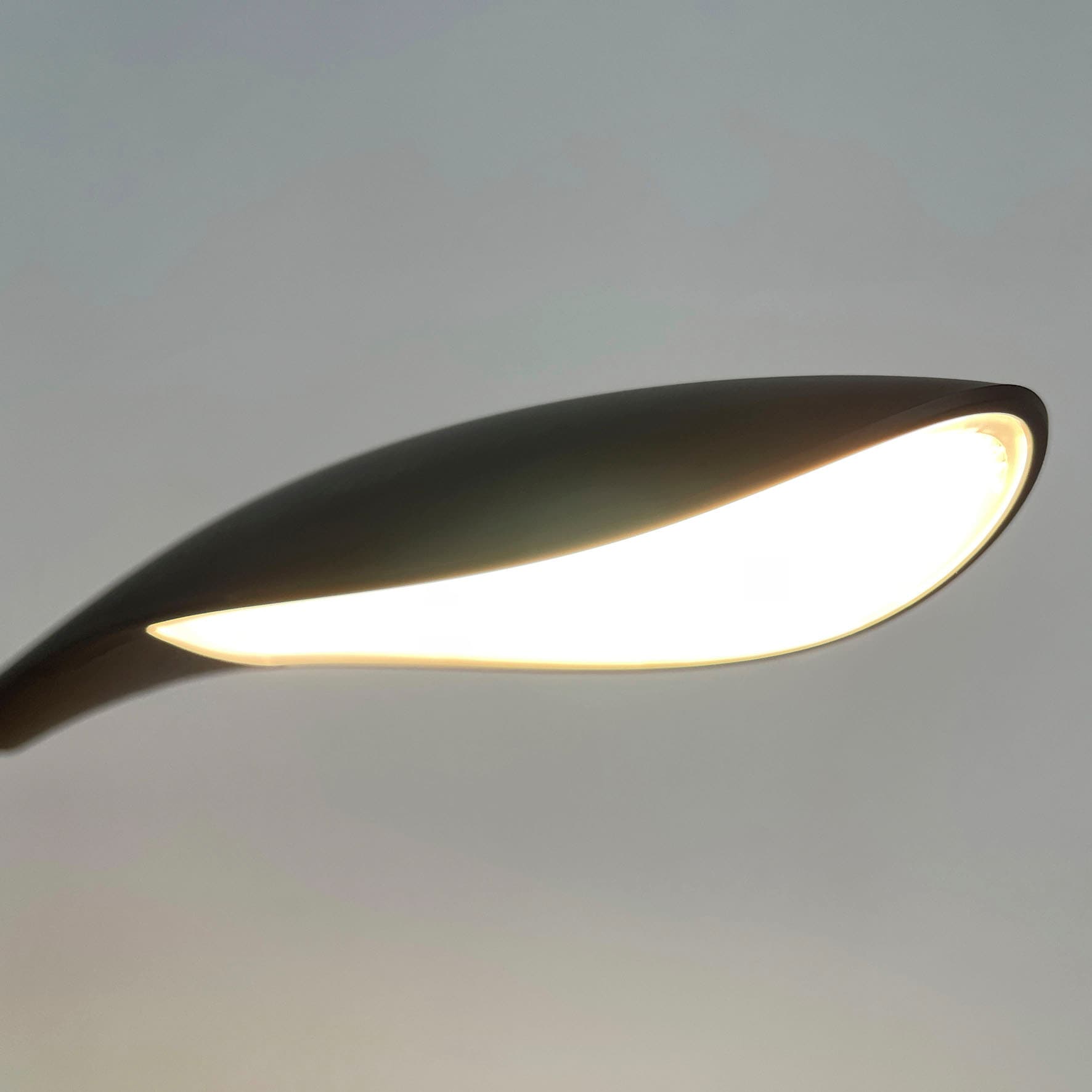 FISCHER & HONSEL kaufen bei online OTTO Tischleuchte LED 1 »Nil«, flammig-flammig