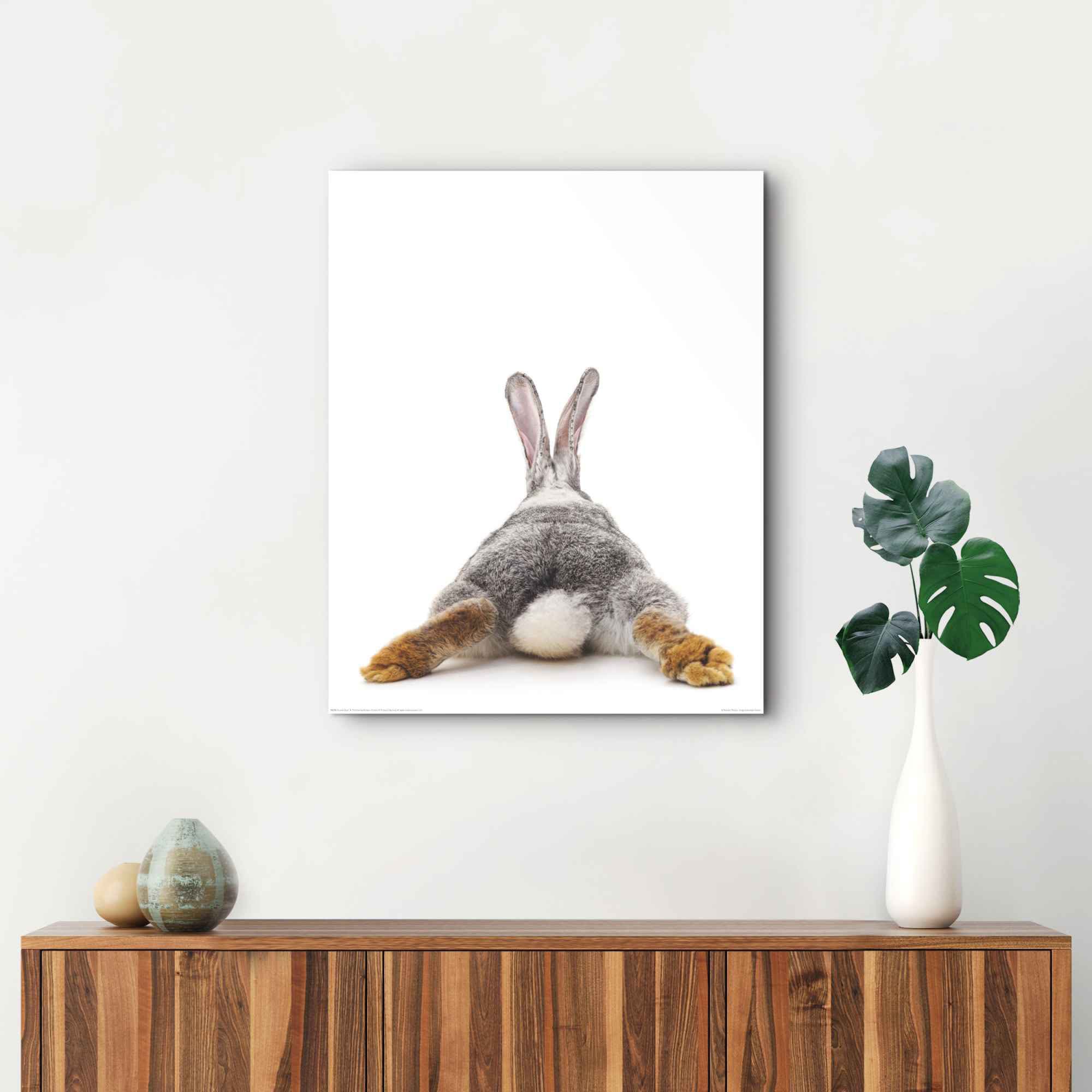 Reinders! Wandbild »Wandbild Kaninchen - Hasen, Shop - OTTO (1 Hase - St.) Schwanz Relax«, Rabbit im Online