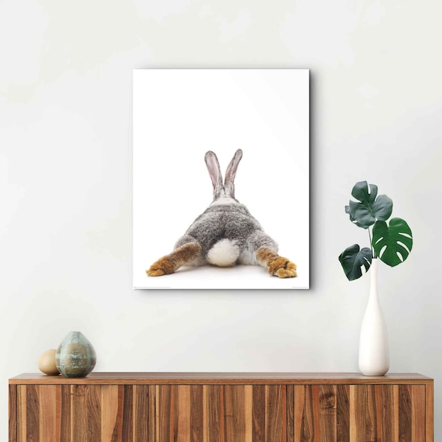 - Hasen, Relax«, Shop »Wandbild Kaninchen OTTO - im Schwanz Reinders! Hase (1 Rabbit - St.) Wandbild Online