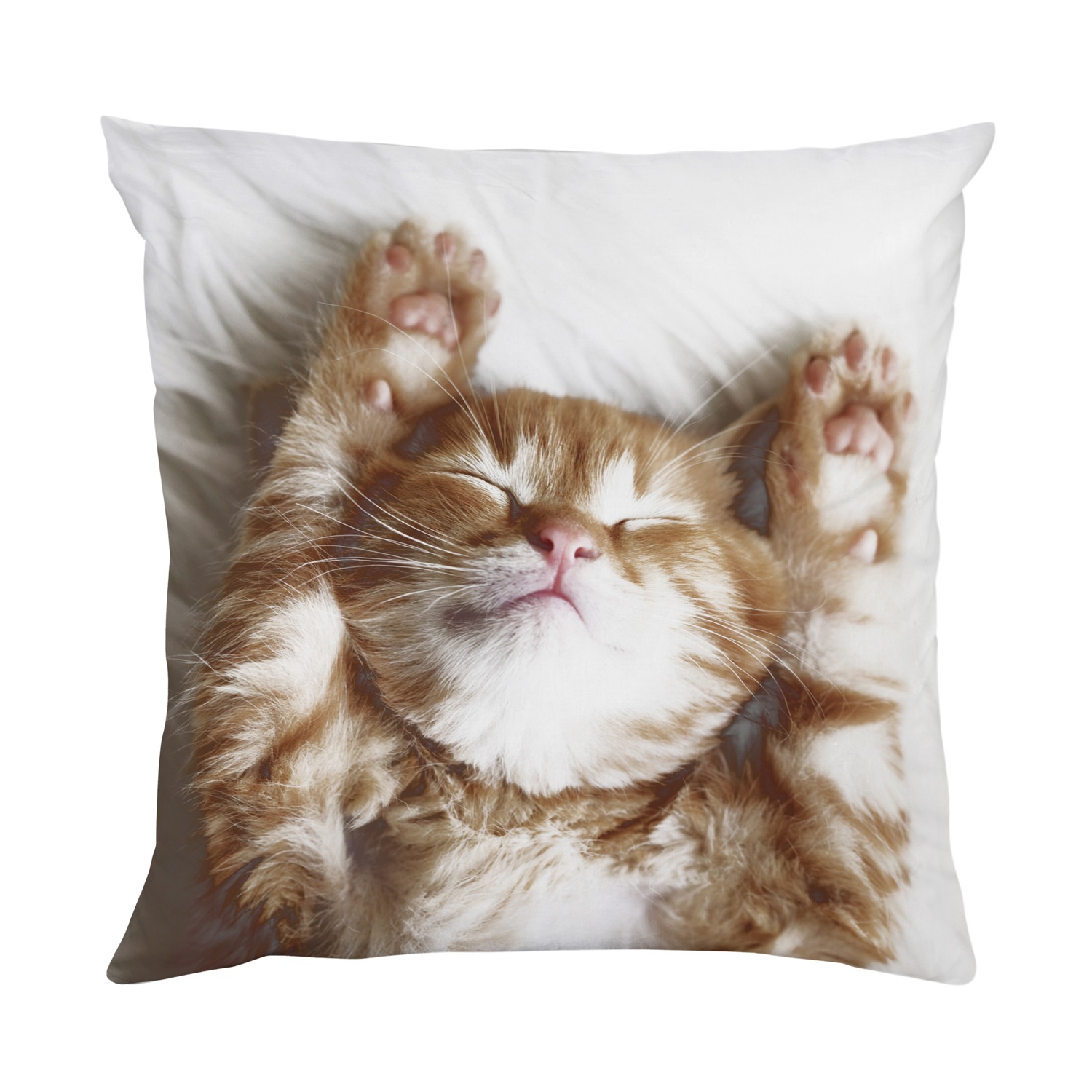 queence Dekokissen »Katzenbaby«, Kissenhülle mit HD Premium Druck, geruchsneutral, 40x40cm