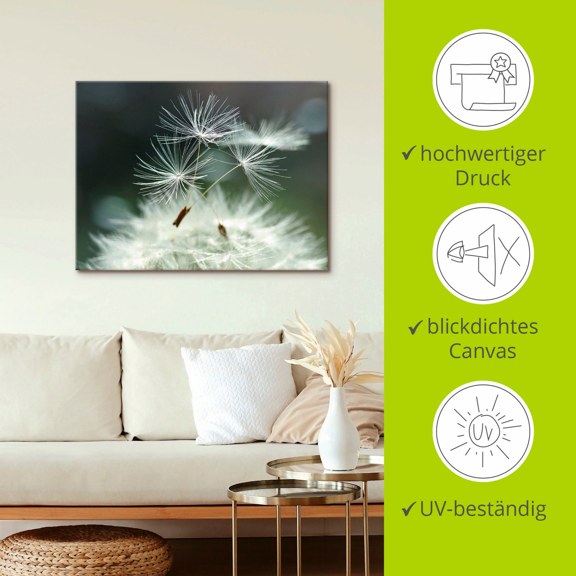 Artland Wandbild »Pusteblume Facility« Blumen 1 Stk. tlg. als Alubild, Leinwandbild, Poster in verschied. Größen