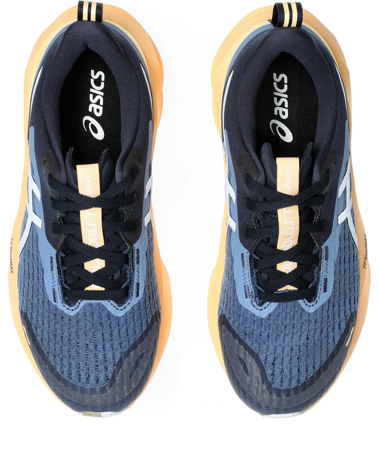 Asics Laufschuh »NOVABLAST 5 LITE-SHOW«