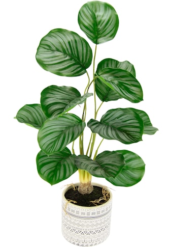 andas Kunstpflanze »Lennja«, im Topf aus Keramik kaufen