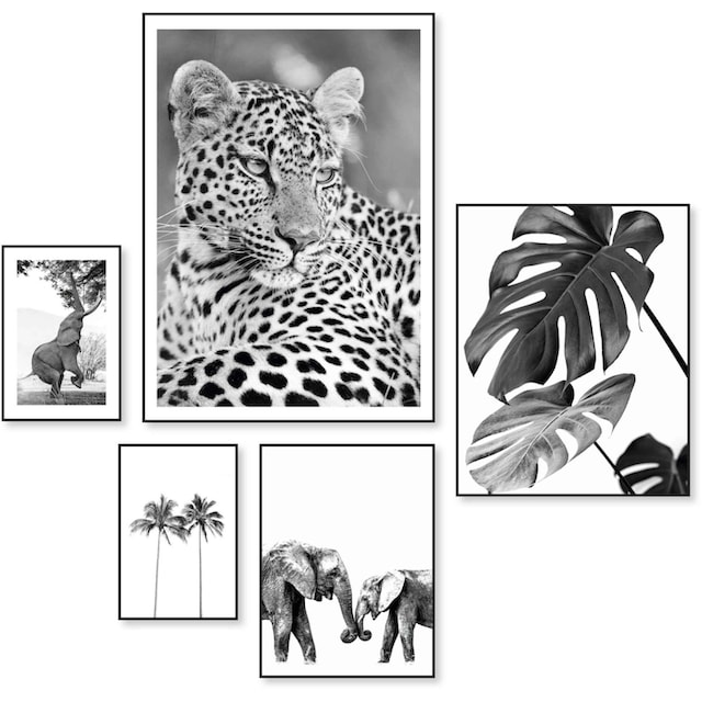 Reinders! Wandbild »Wildtiere Afrika - Botanisch - Natur - Monstera«, (5 St.)  bestellen im OTTO Online Shop