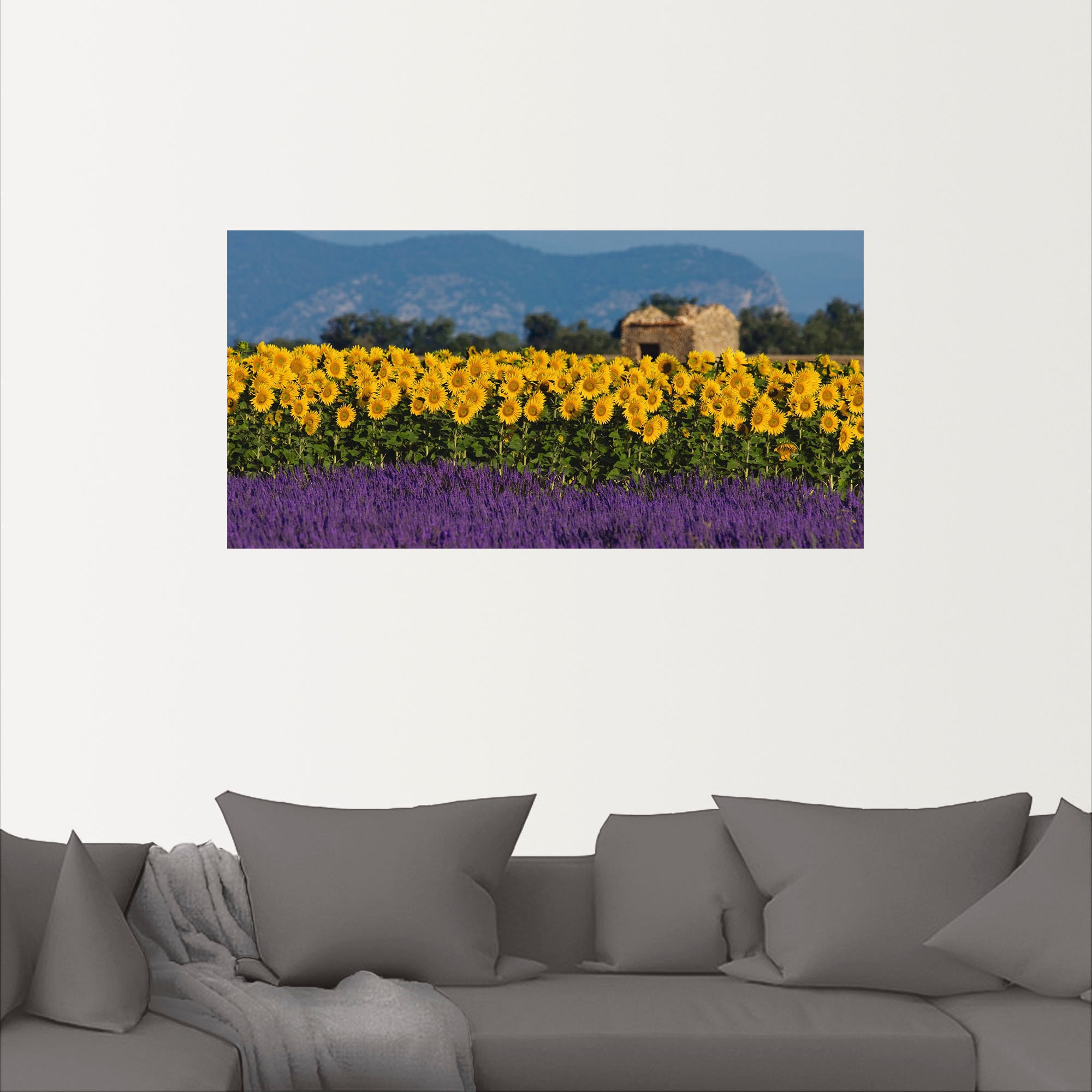 Artland Wandbild »Lavendel Sonnenblumen in der Provence«, Blumenwiese, (1 St.), als Alubild, Leinwandbild, Wandaufkleber oder Poster in versch. Größen