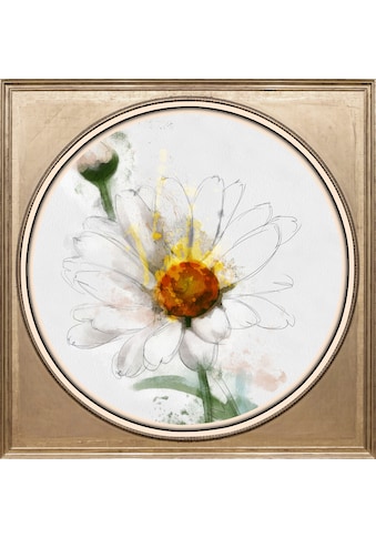 queence Acrylglasbild »Blumen« kaufen