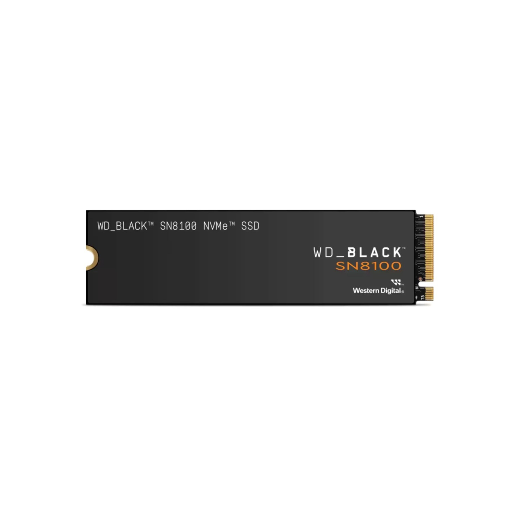 Sandisk interne SSD »SN8100«