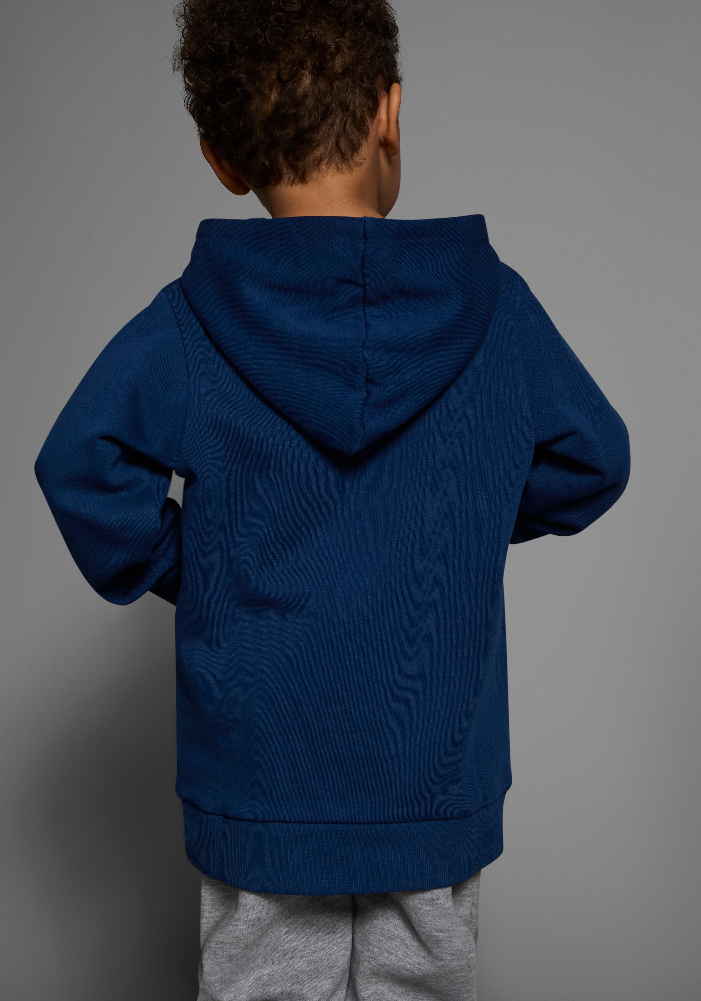KIDSWORLD Kapuzensweatshirt »mit tollem Dino aus Wendepailletten«, Langarm, Basic-Passform, bedruckt, aus Baumwolle