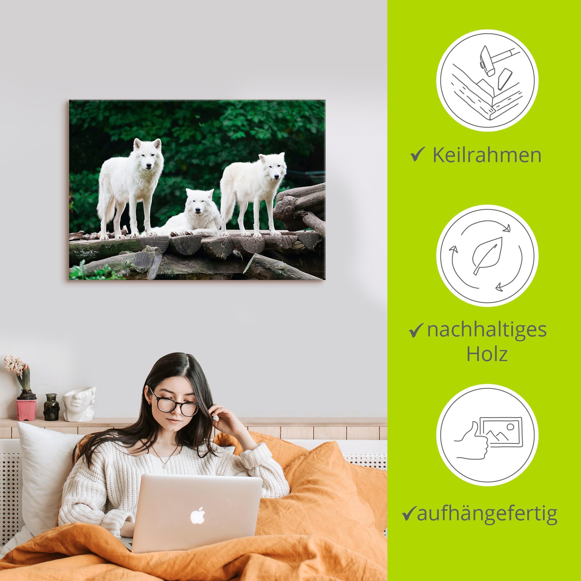 Artland Wandbild »Arktische Wölfe«, Wildtiere, (1 St.), als Leinwandbild, Poster in verschied. Größen