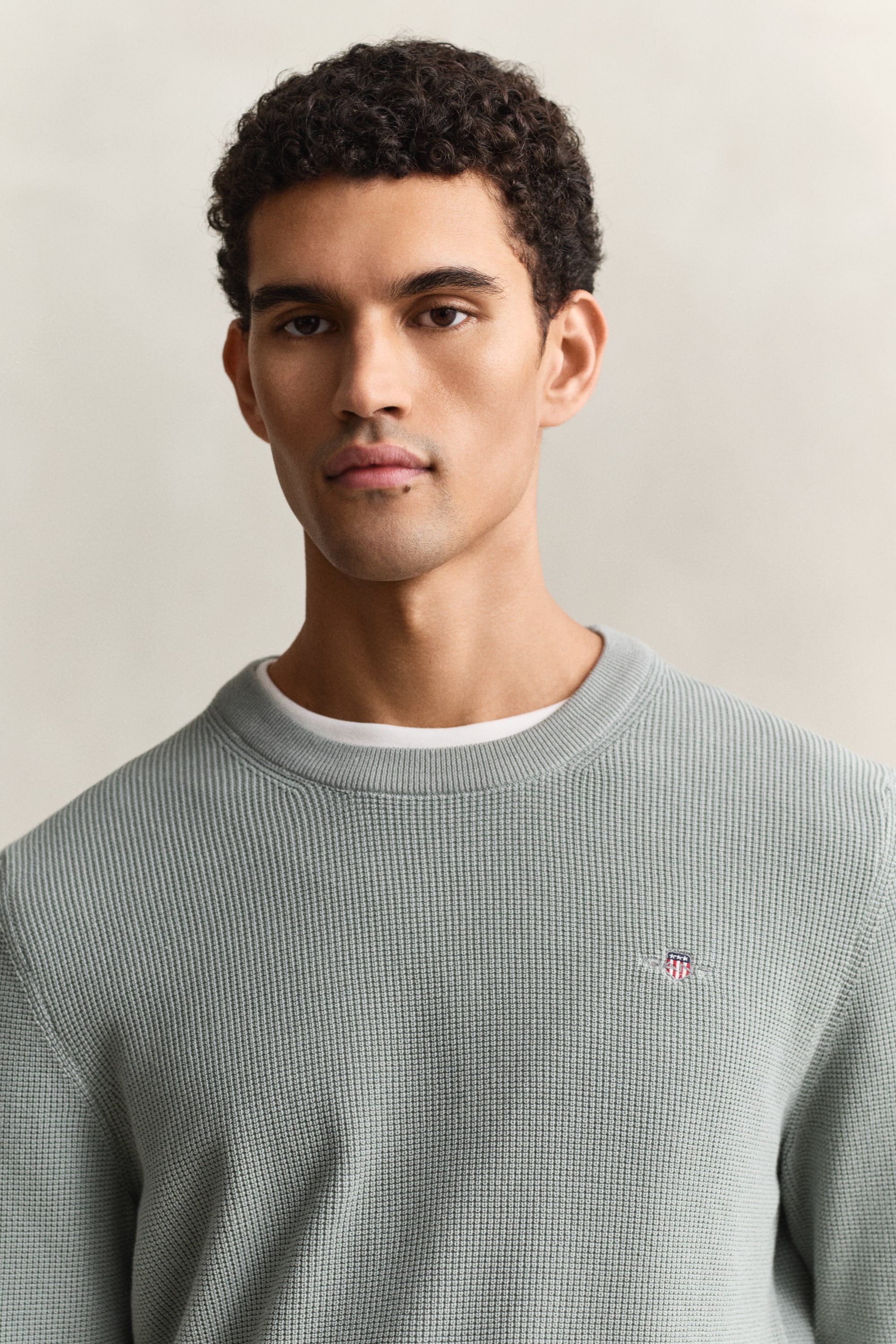 Gant Strickpullover »MICRO TEXTURED COTTON C-NECK« Regular fit mit Rundhalsausschnitt