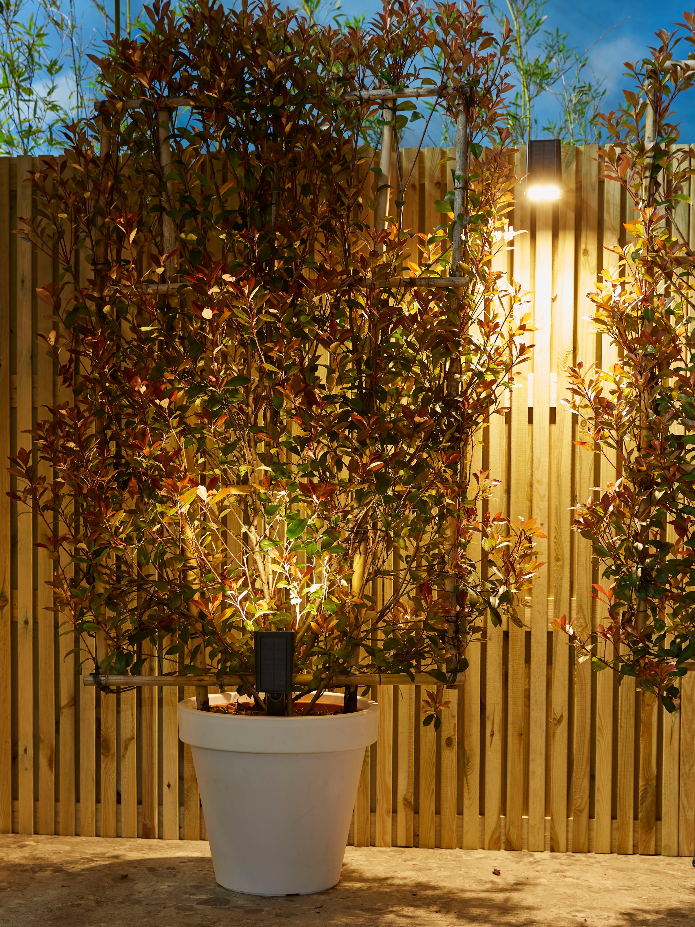 LUXFORM Gartenstrahler »Solar-Intelligente - Erdspießleuchte - Rosario LED«, Leuchtmittel LED-Modul | LED fest integriert, Für den Außenbereich geeignet IP33