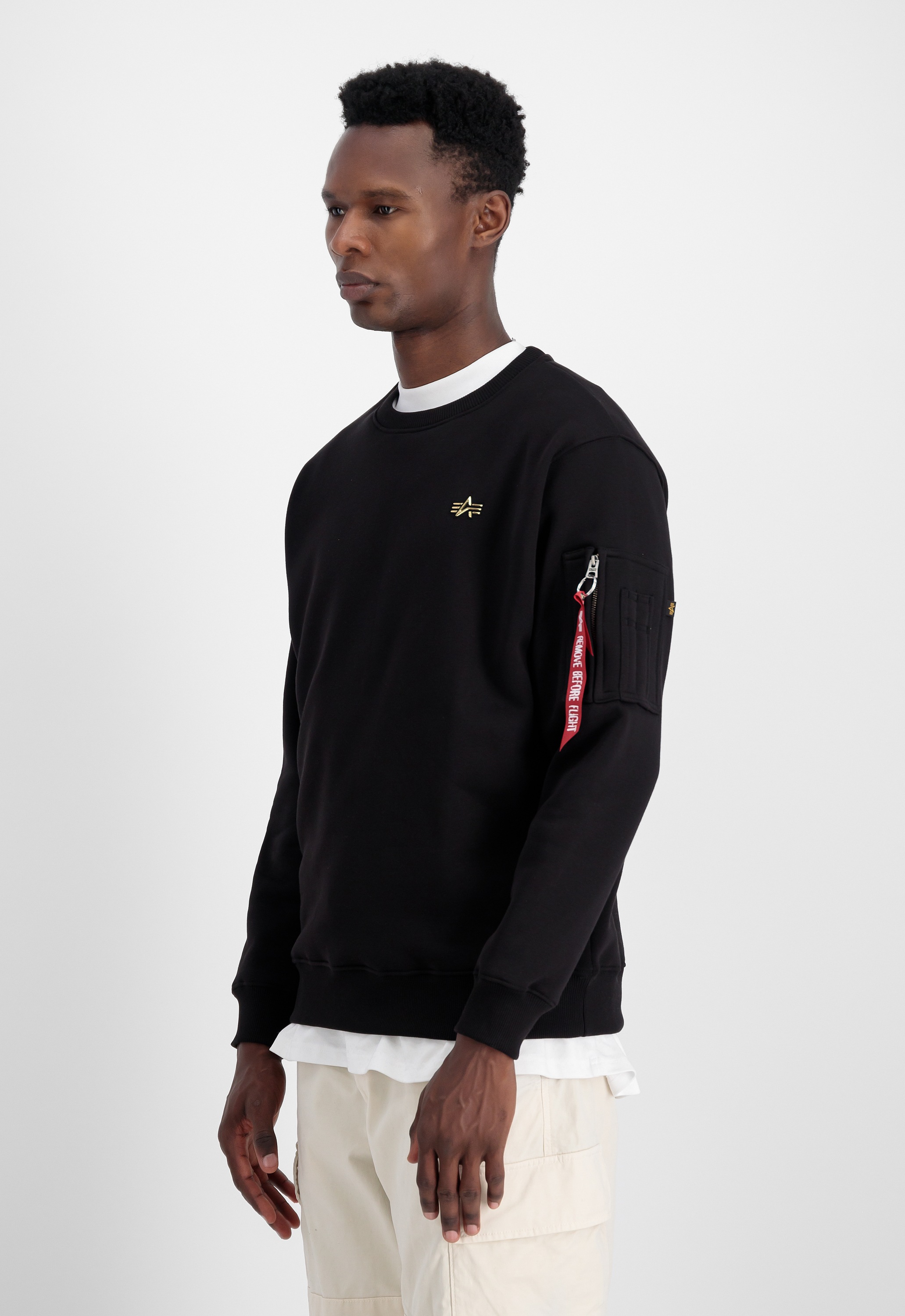 Alpha Industries Sweater »Alpha Industries Men - Sweatshirts 3D SL Sweatshirt«