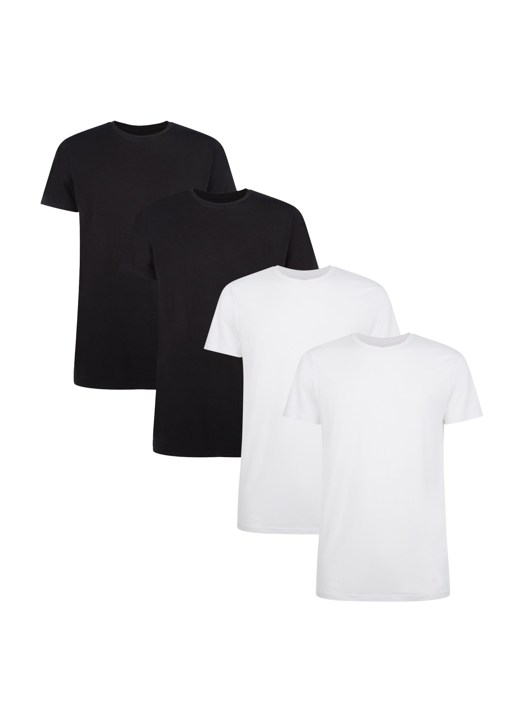 Bamboo basics T-Shirt »T-Shirt RUBEN 4er Pack«