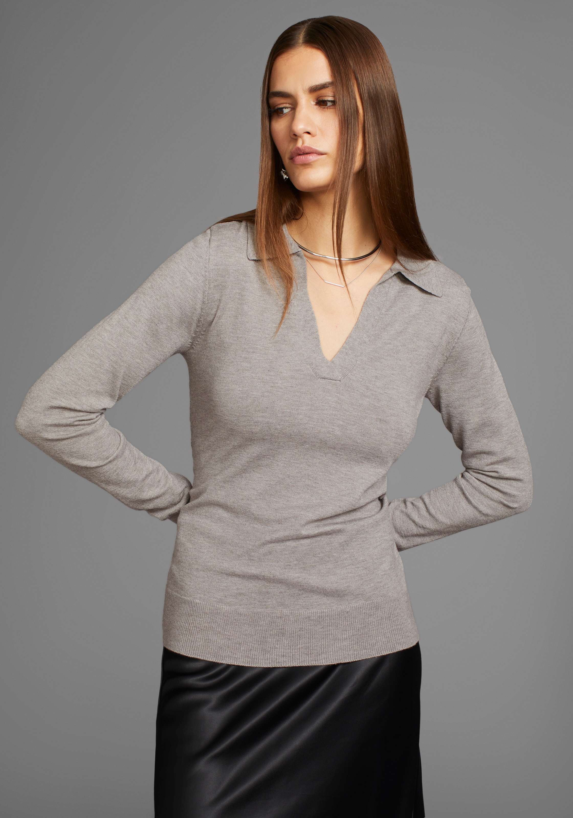 HECHTER PARIS Polokragenpullover, mit elegantem V-Ausschnitt