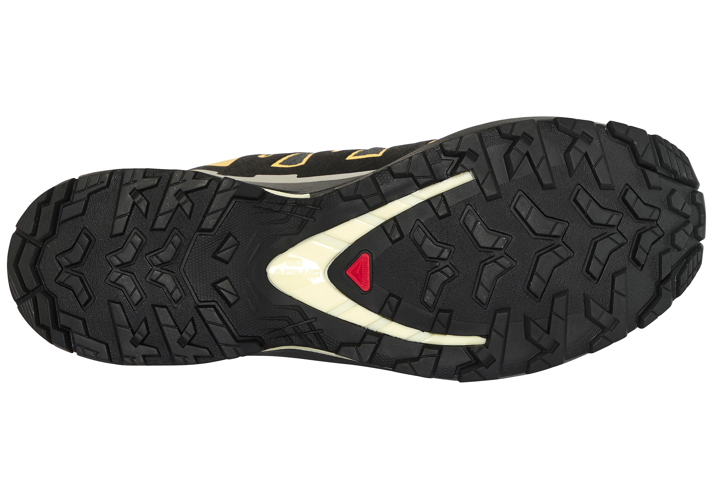 Salomon Laufschuh »XA PRO 3D V9 GORE-TEX«  wasserdicht