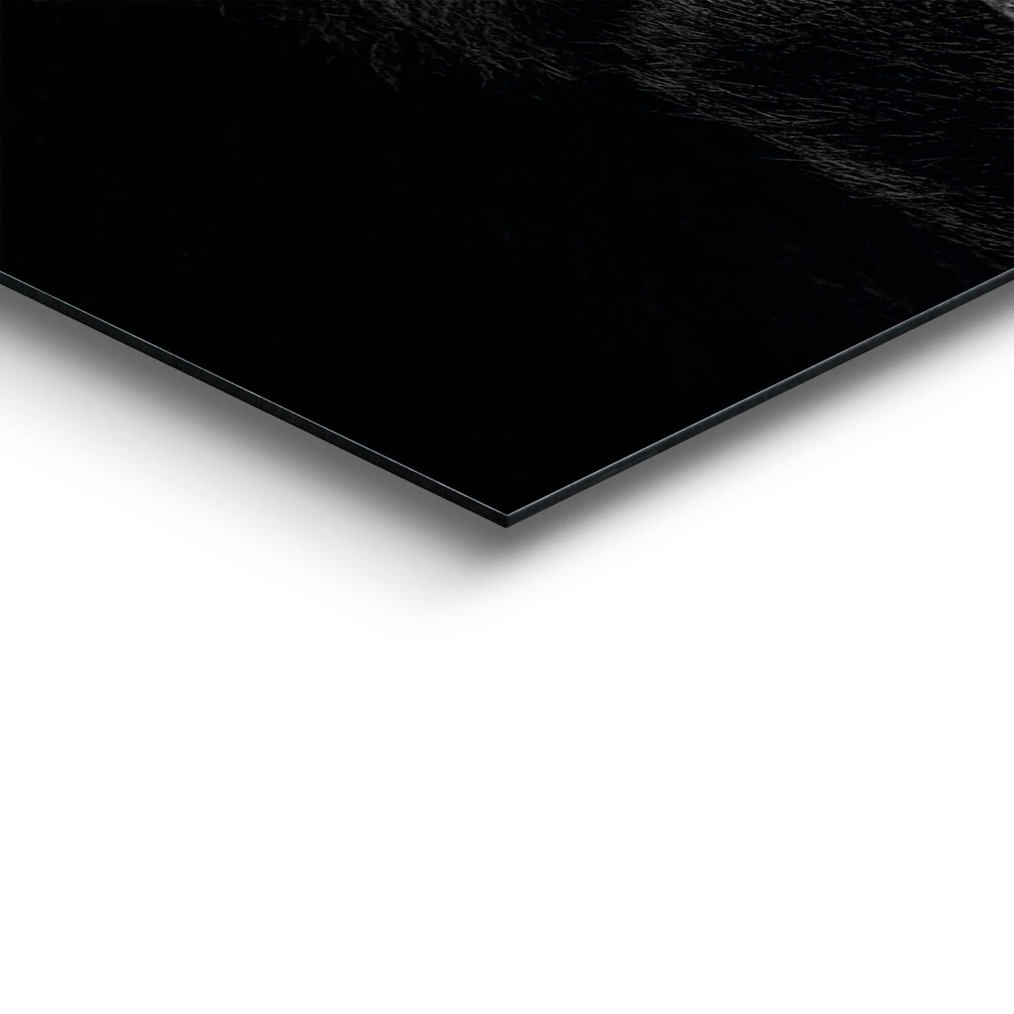 Reinders! Deco-Panel »Gorilla«