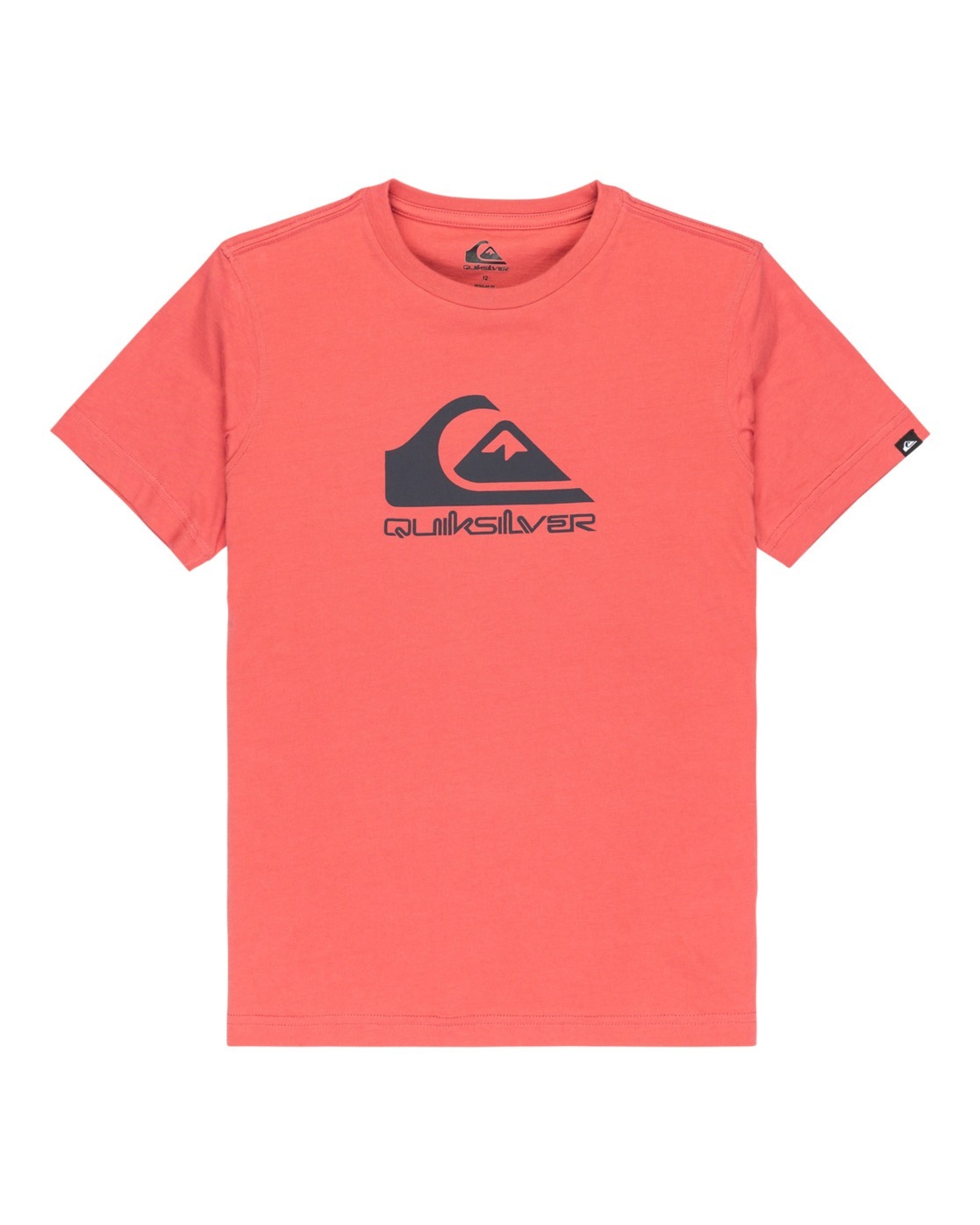 Quiksilver T-Shirt »Ev Comp Logo«