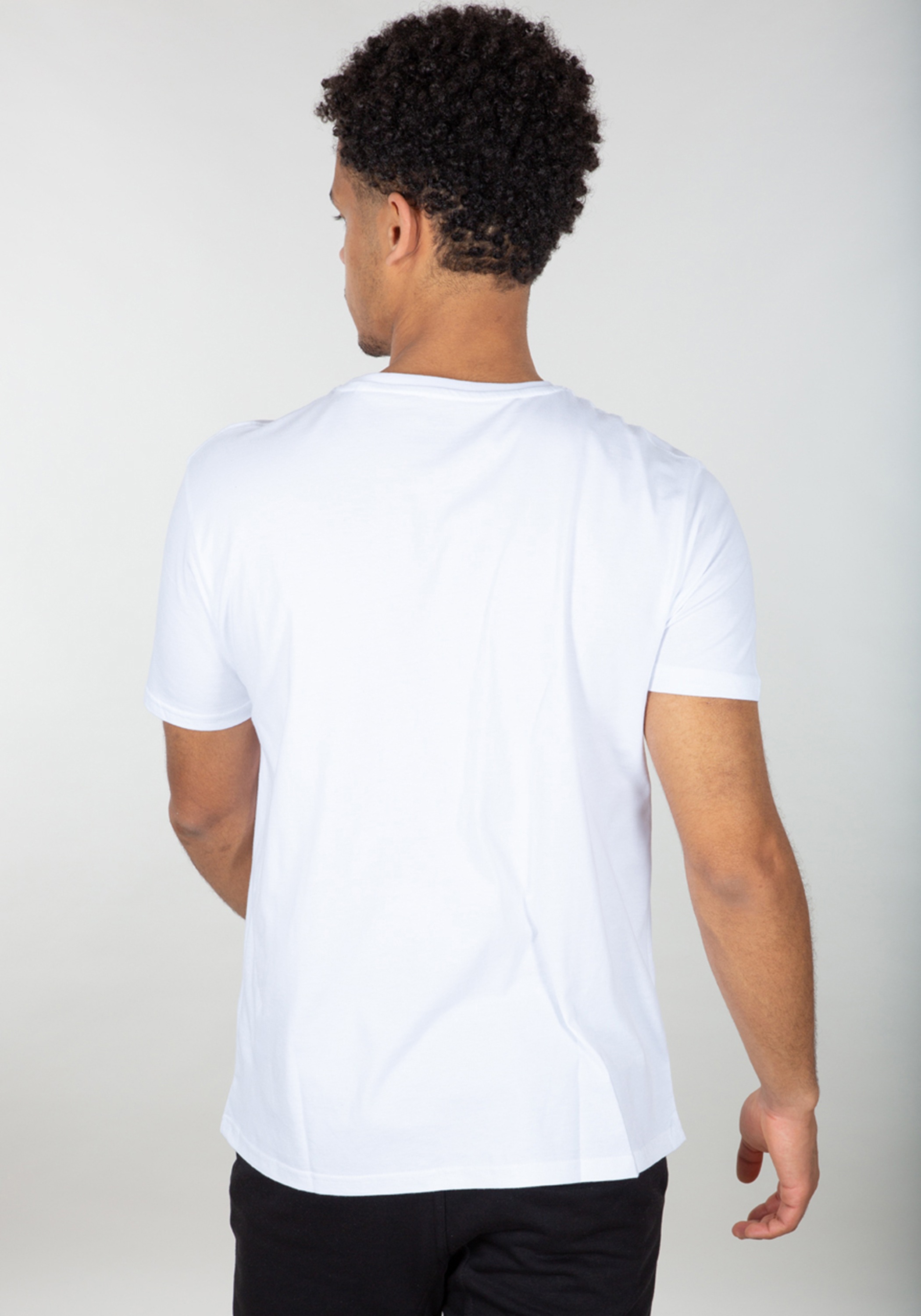 Alpha Industries T-Shirt »Basic T-Shirt BL Rainbow Ref. T-Shirt«