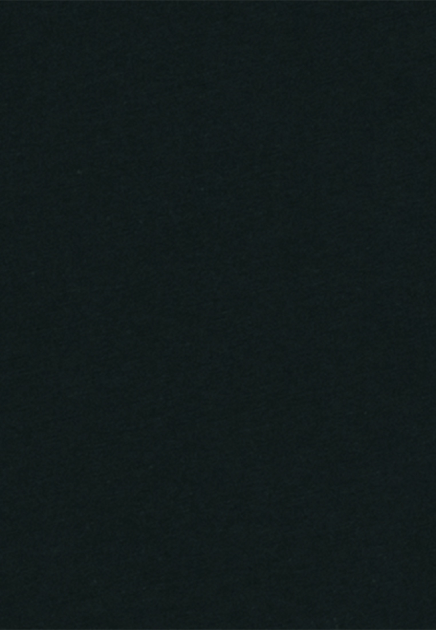 studio seidensticker T-Shirt »Studio« Kurzarm Rundhals Uni