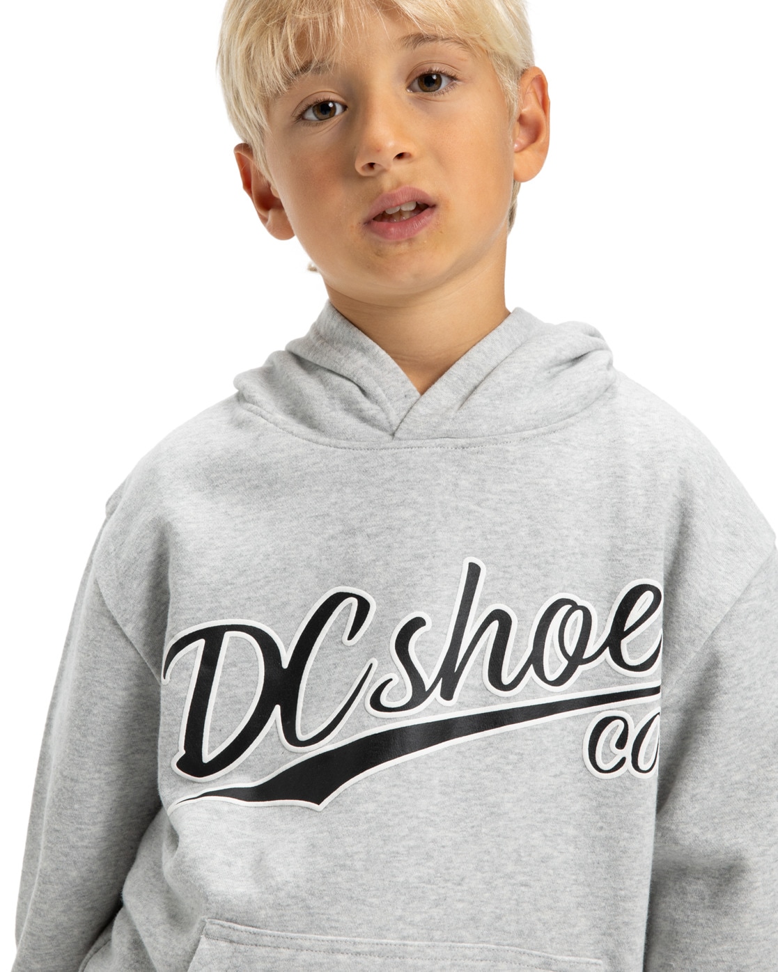 DC Shoes Kapuzensweatshirt »Substitute«