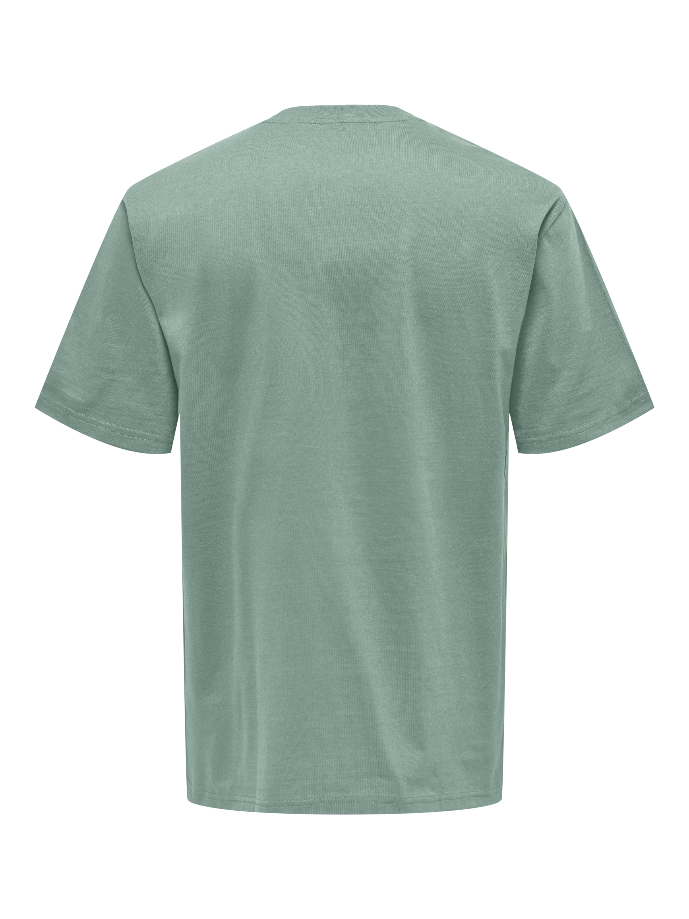 ONLY & SONS Rundhalsshirt »ONSFRED RLX SS TEE«