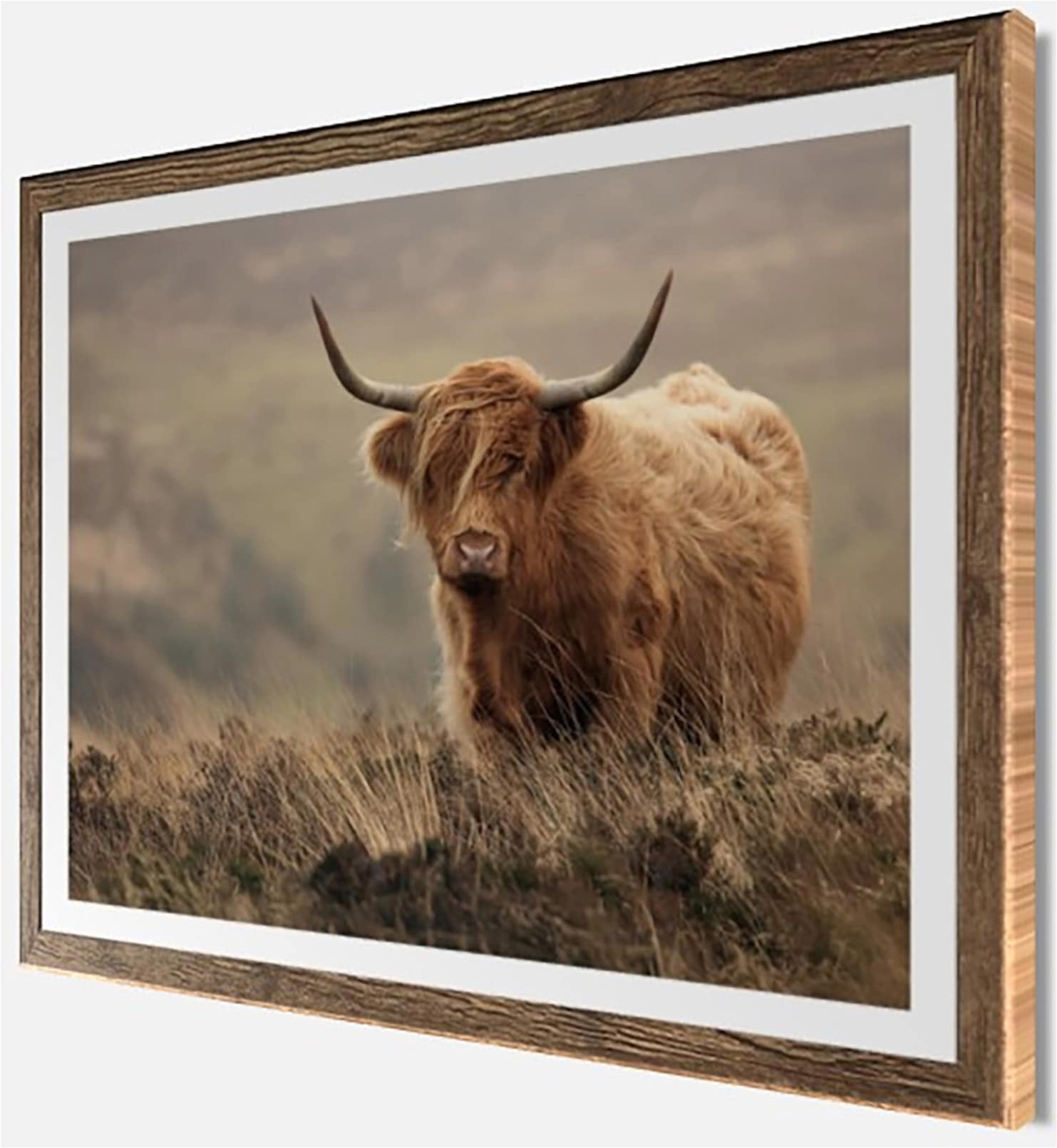 Bönninghoff Bild mit Rahmen »Wandbild gerahmt HOCHLANDRIND 40x50 cm – Tiermotiv Natur Landhaus Deko« Gräser | Hochlandrind | Landschaft | Natur | Tiere 1 Stk. tlg. mit dekorativem Rahmen