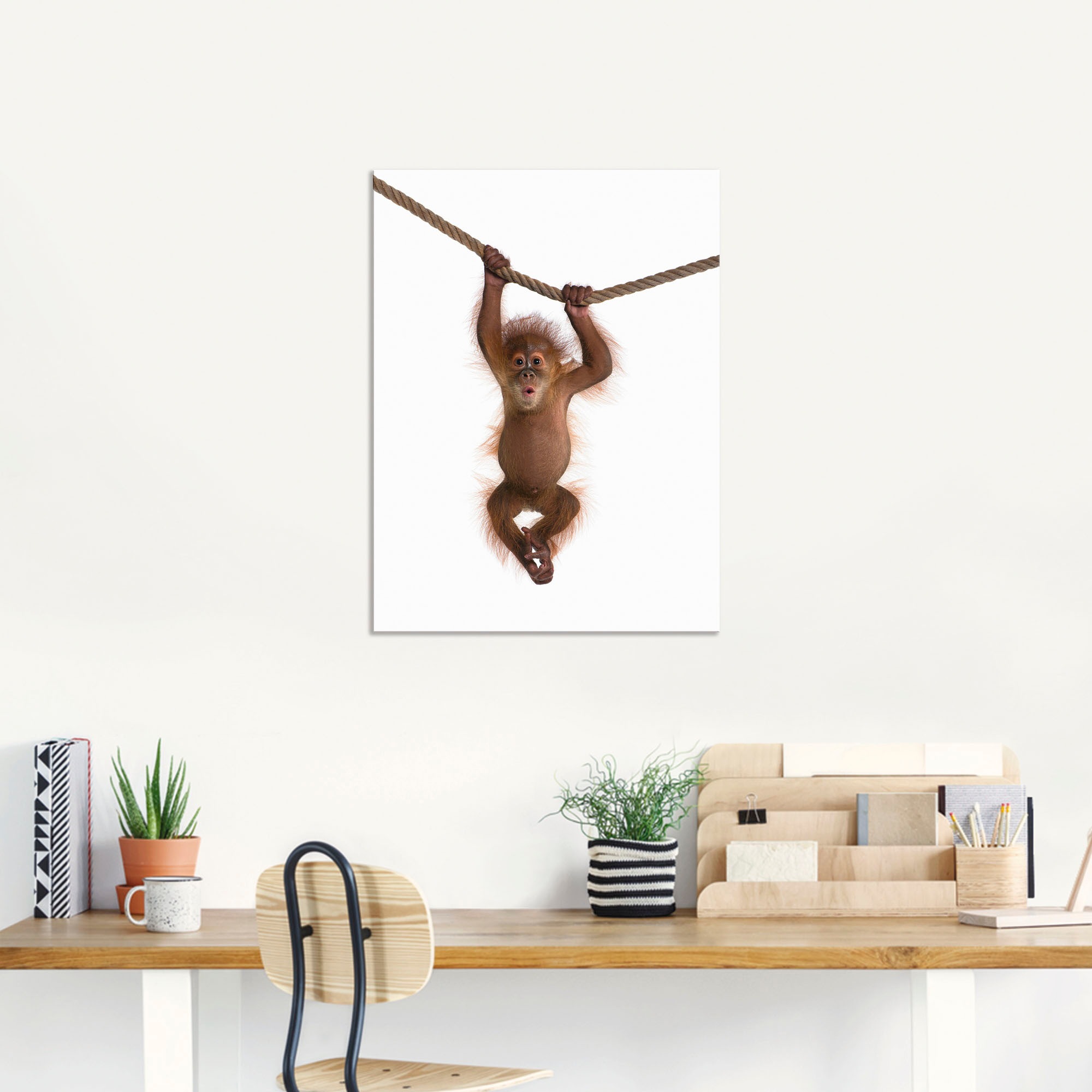Artland Wandbild »Baby Orang Utan hängt an Seil II«, Wildtiere, (1 St.), als Alubild, Outdoorbild, Leinwandbild, Poster, Wandaufkleber