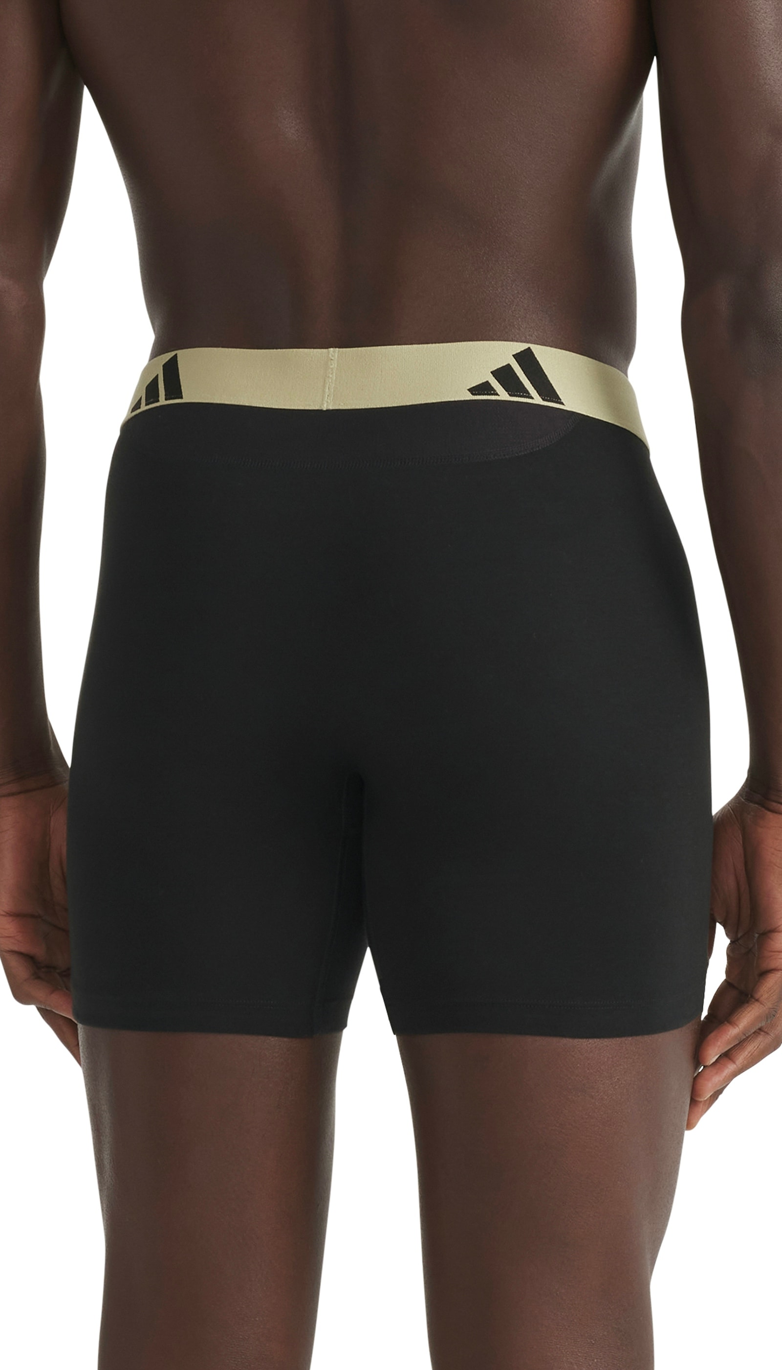 adidas Sportswear Boxer »Active Flex Cotton Ergonomic« Belüftete Mesh-Rückenpartie und -Schritt, elastisch, ohne Eingriff