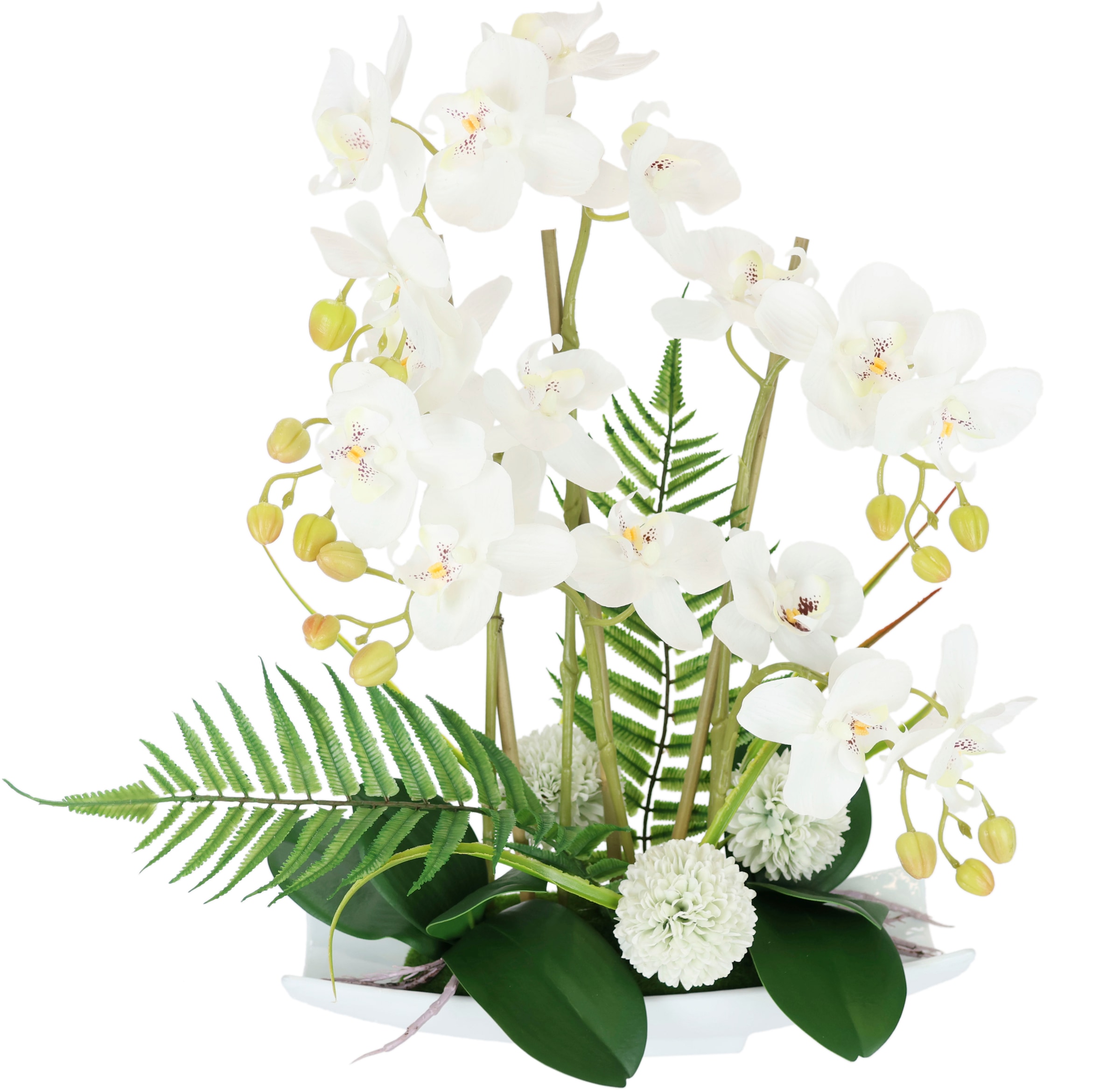 I.GE.A. Kunstblume »Orchideen«