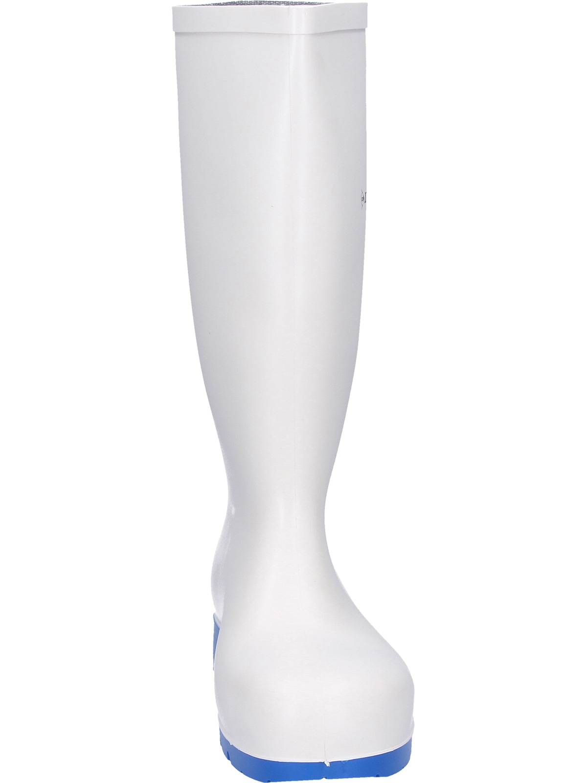 Dunlop Gummistiefel »Stiefel B180331 Acifort Classic+«