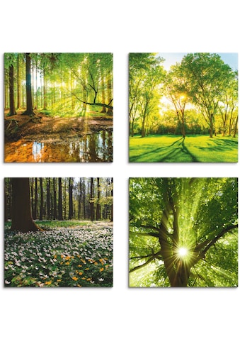 Jetzt Wald Bilder bestellen online bei OTTO