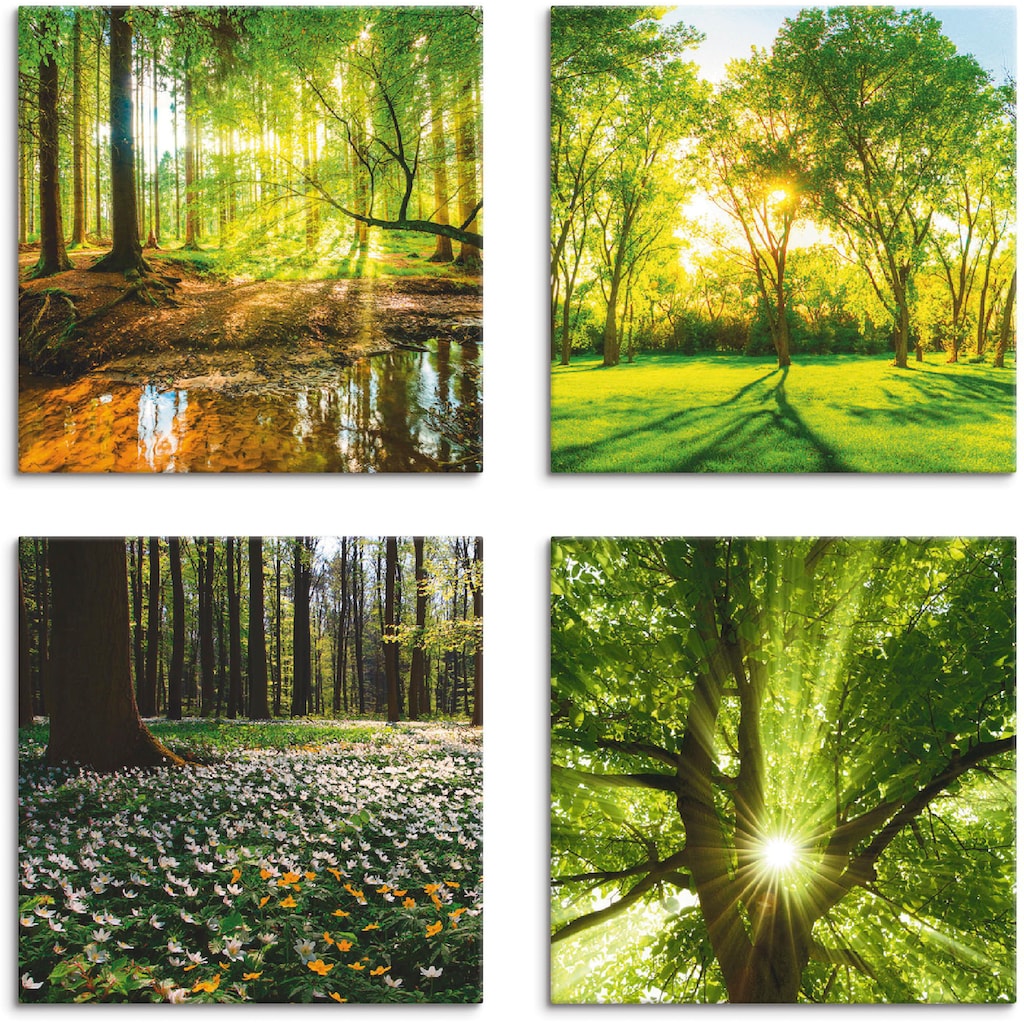 Artland Leinwandbild »Wald Bach Frühling Windrosen Sonne Baum«, Wald, (4 St.), 4er Set, verschiedene Größen