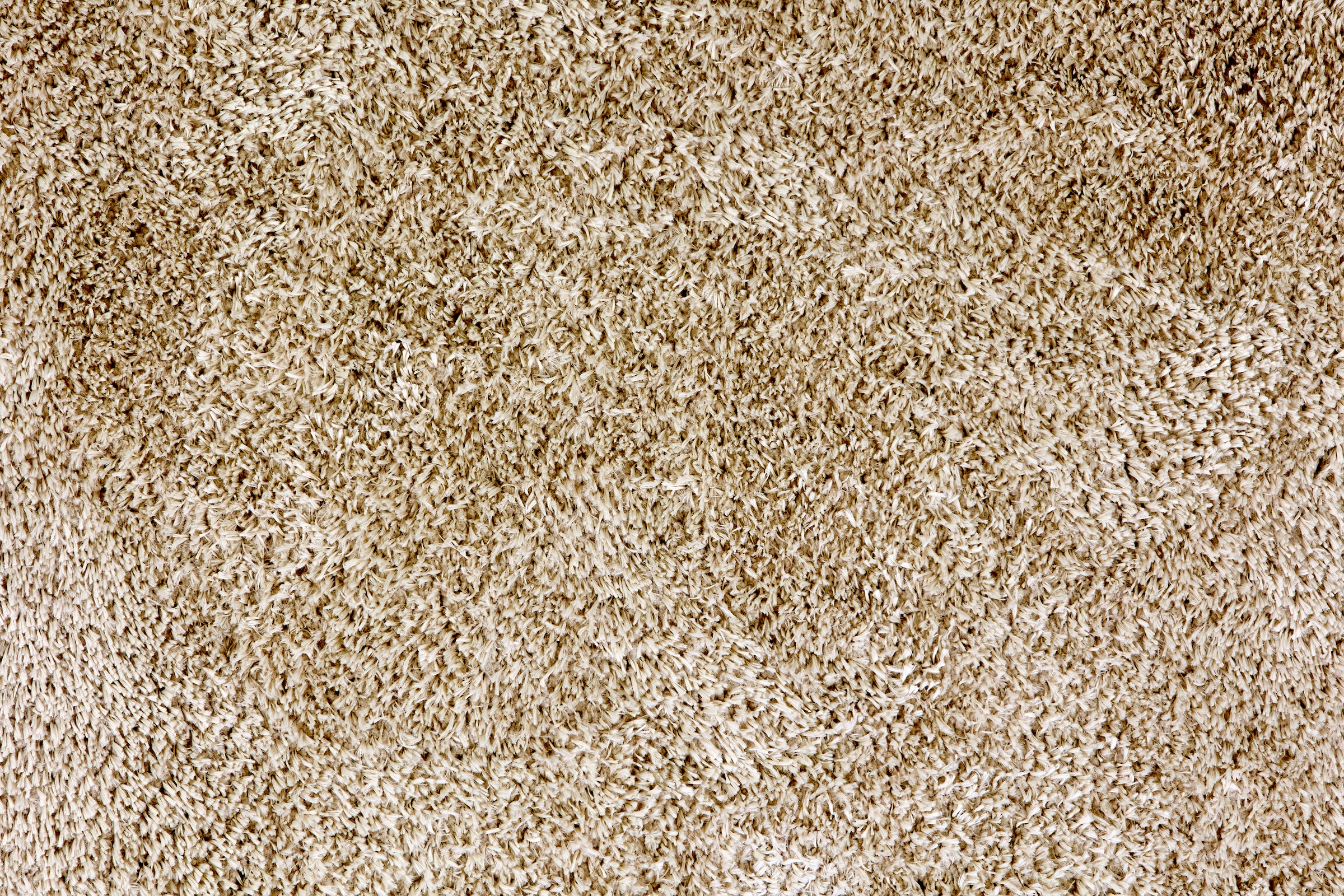 ASTRA Hochflor-Teppich »Paulie 250«, rechteckig, 25 mm Höhe, weicher Langflor, Shaggy, Wohnzimmer, Schlafzimmer