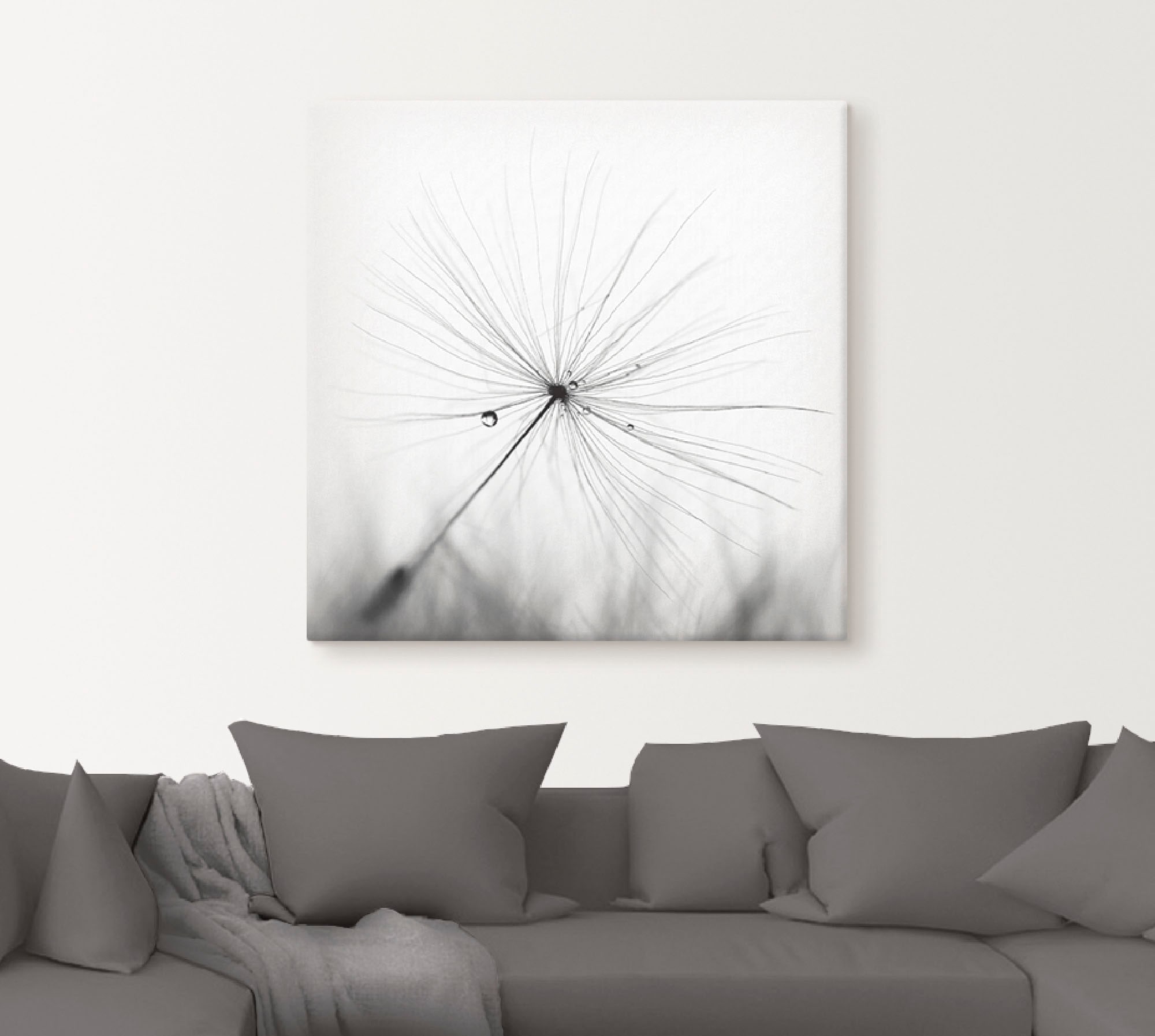 Artland Wandbild »Pusteblume Schirmchen«, Blumen, (1 St.), als Alubild, Outdoorbild, Leinwandbild, Poster, Wandaufkleber