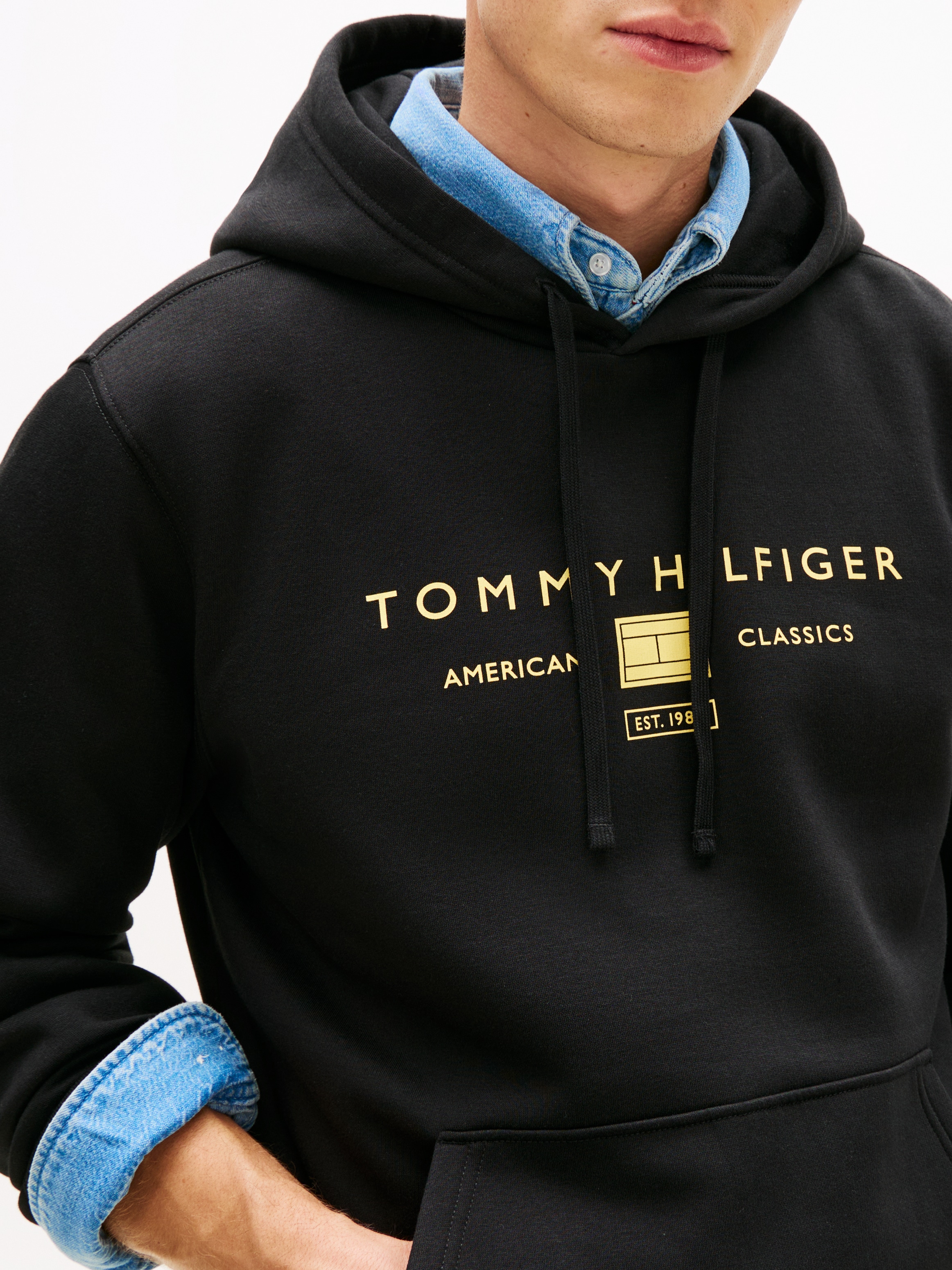 Tommy Hilfiger Hoodie »BRAND LOVE TR MONO STACK«

