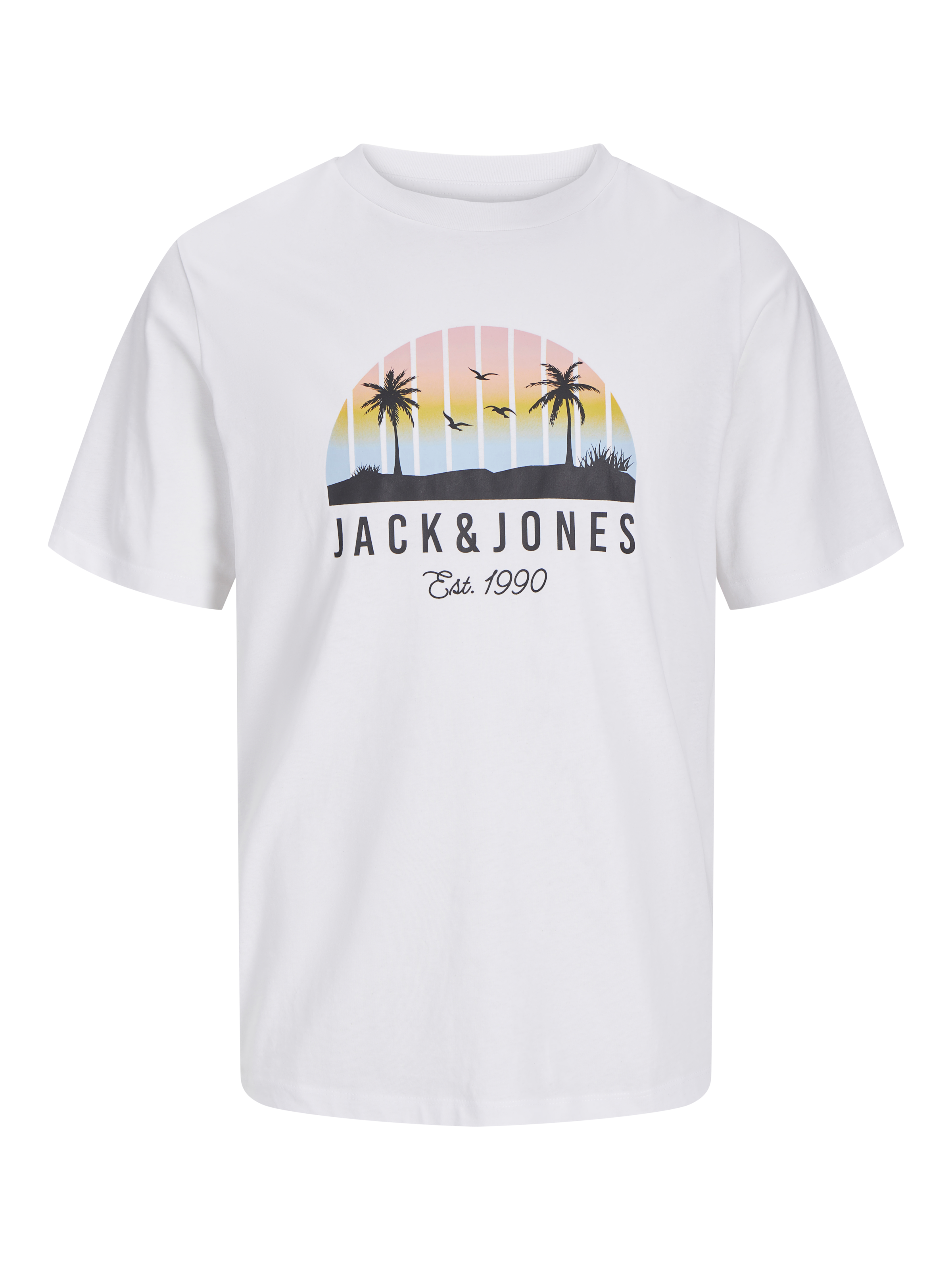 Jack & Jones Junior T-Shirt »JJPALM TEE LS CREW NECK 2PK MP JNR« Packung, 2 tlg.
