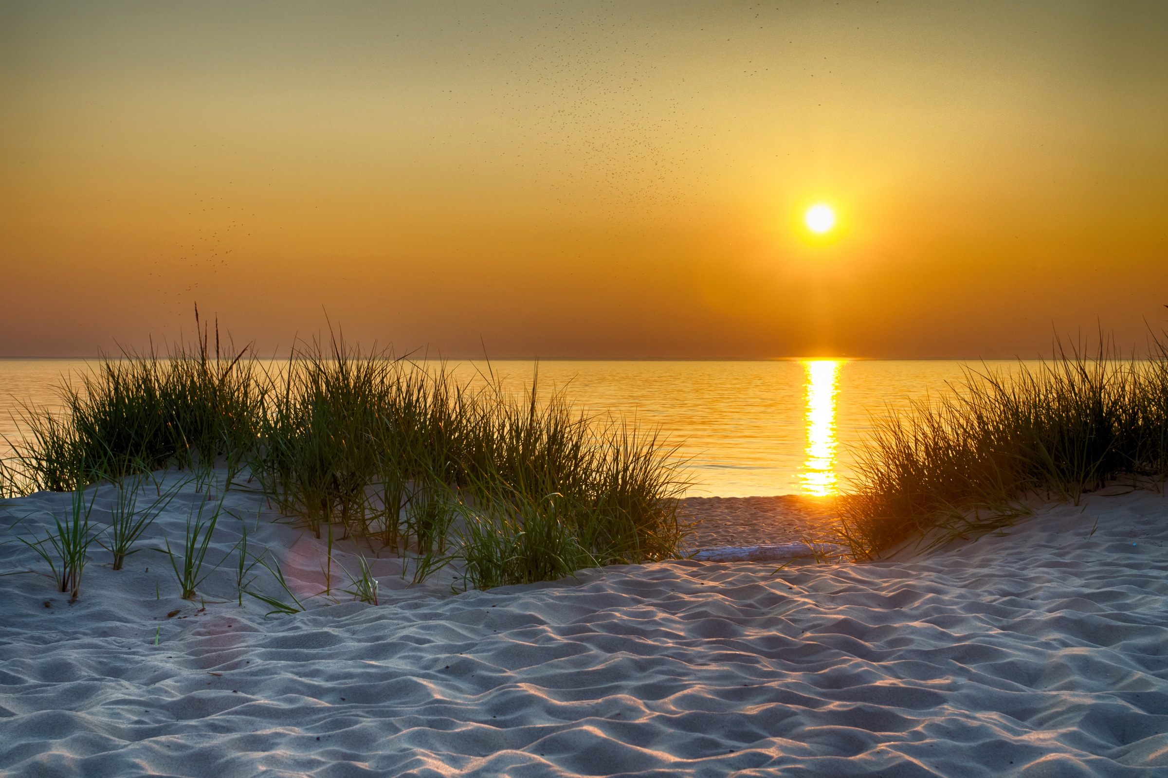 Papermoon Fototapete »Dunes Lake Michigan«