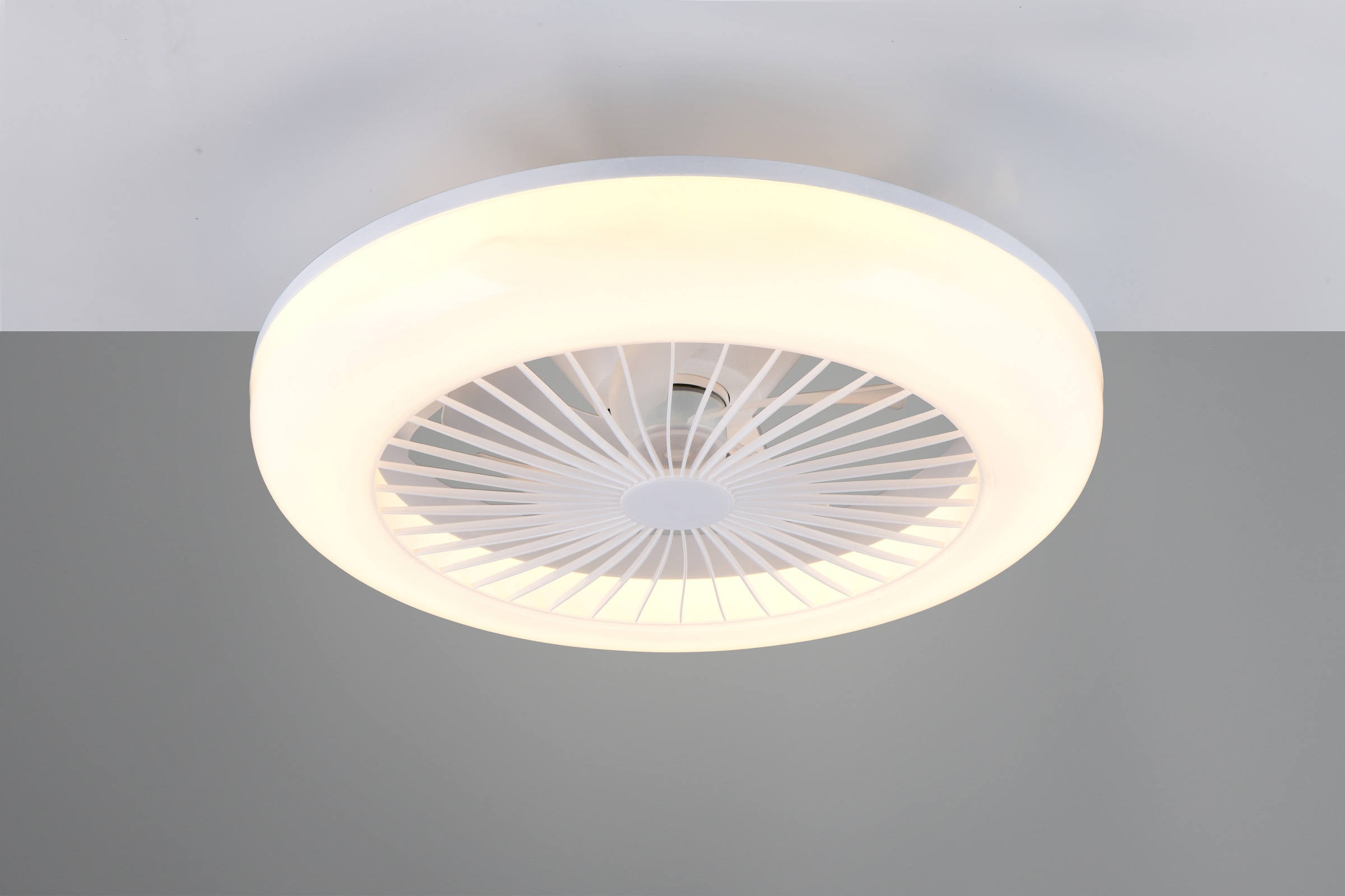 REALITY Leuchten LED Deckenleuchte »MORA mit Ventilator, Deckenventilator mit Licht inkl. Fernbedienung« LED-Board 1 Stk. warmweiß - kaltweiß 3 Geschwindigkeiten Timer, LED dimmbar CCT Nachtlicht
