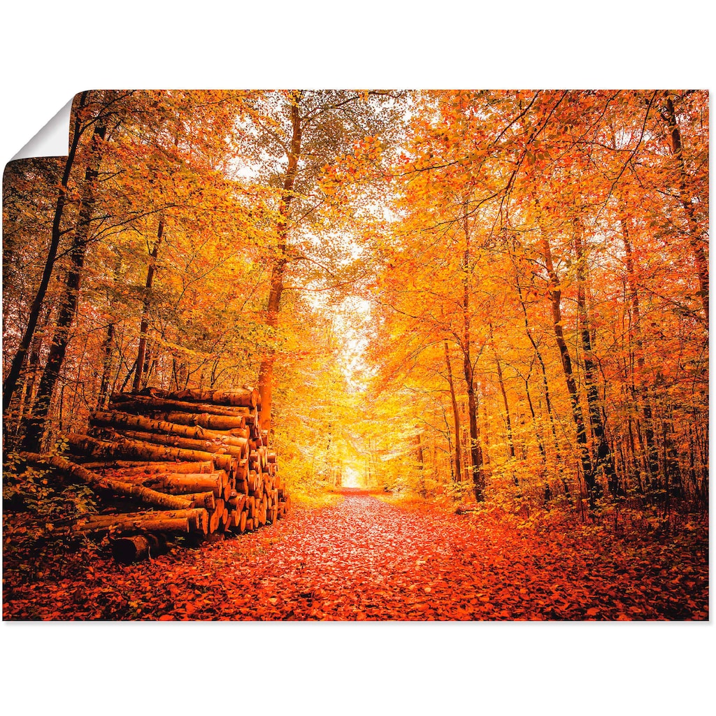Artland Poster »Herbstlandschaft«, Vier Jahreszeiten, (1 St.)