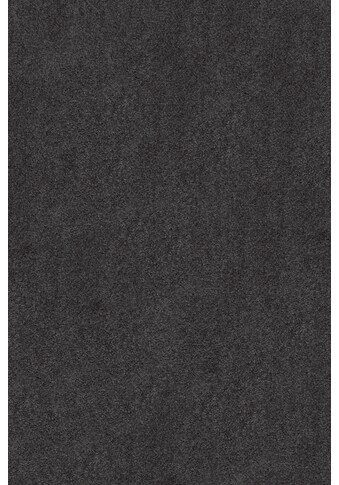 Sedna Teppichboden »Proteus«, rechteckig, 12 mm Höhe, Meterware, Breite 400 cm oder... kaufen