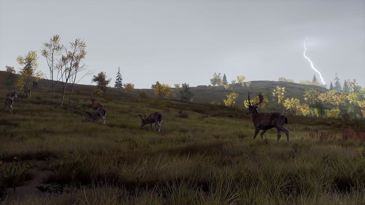 THQ Nordic Spielesoftware »Way of the Hunter - Wild Expeditions«, PlayStation 5