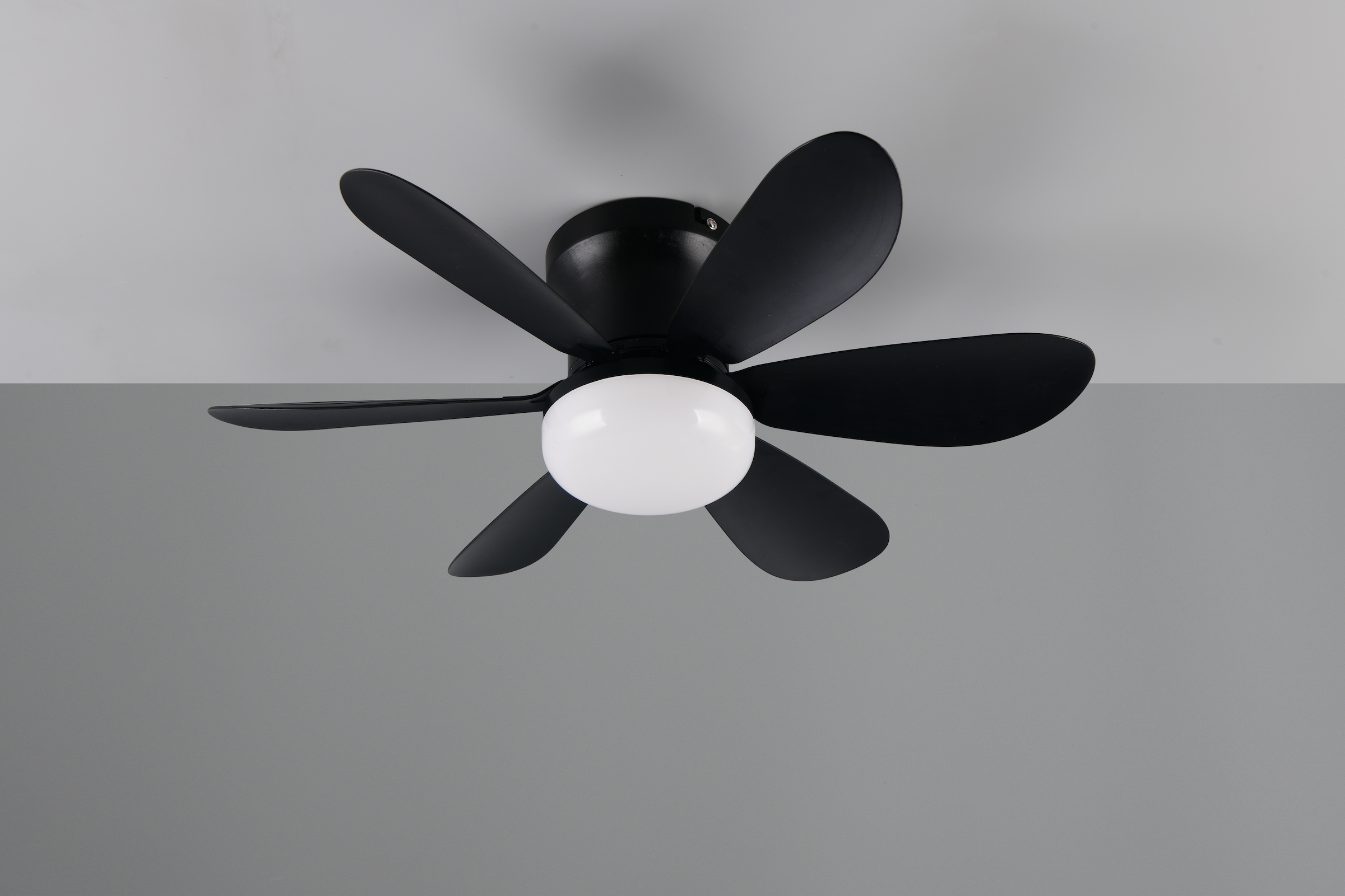 REALITY Leuchten LED Deckenleuchte »LUND mit Ventilator, Deckenventilator mit Licht inkl Fernbedienung« LED-Board 1 Stk. warmweiß - kaltweiß 3 Geschwindigkeiten Timer Vor- & Rücklauf LED dimmbar CCT Nachtlicht