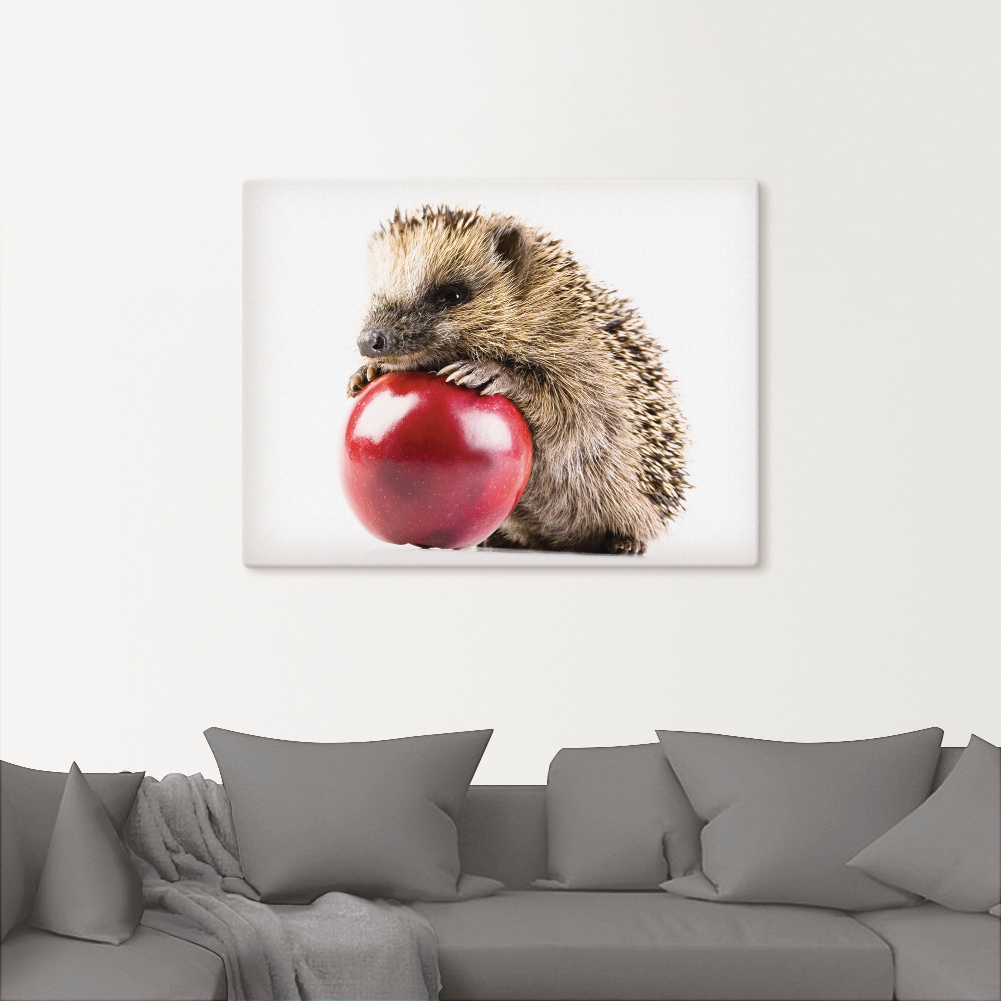 Artland Leinwandbild »Glücklicher Igel«, Wildtiere, (1 St.), auf Keilrahmen gespannt