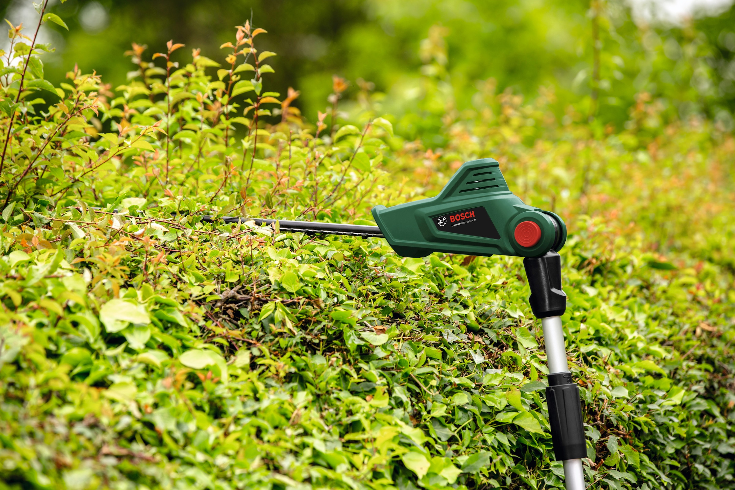 Bosch Home & Garden Akku-Heckenschere »UniversalHedgePole 18«, 43 cm Schnittlänge, ohne Akku und Ladegerät