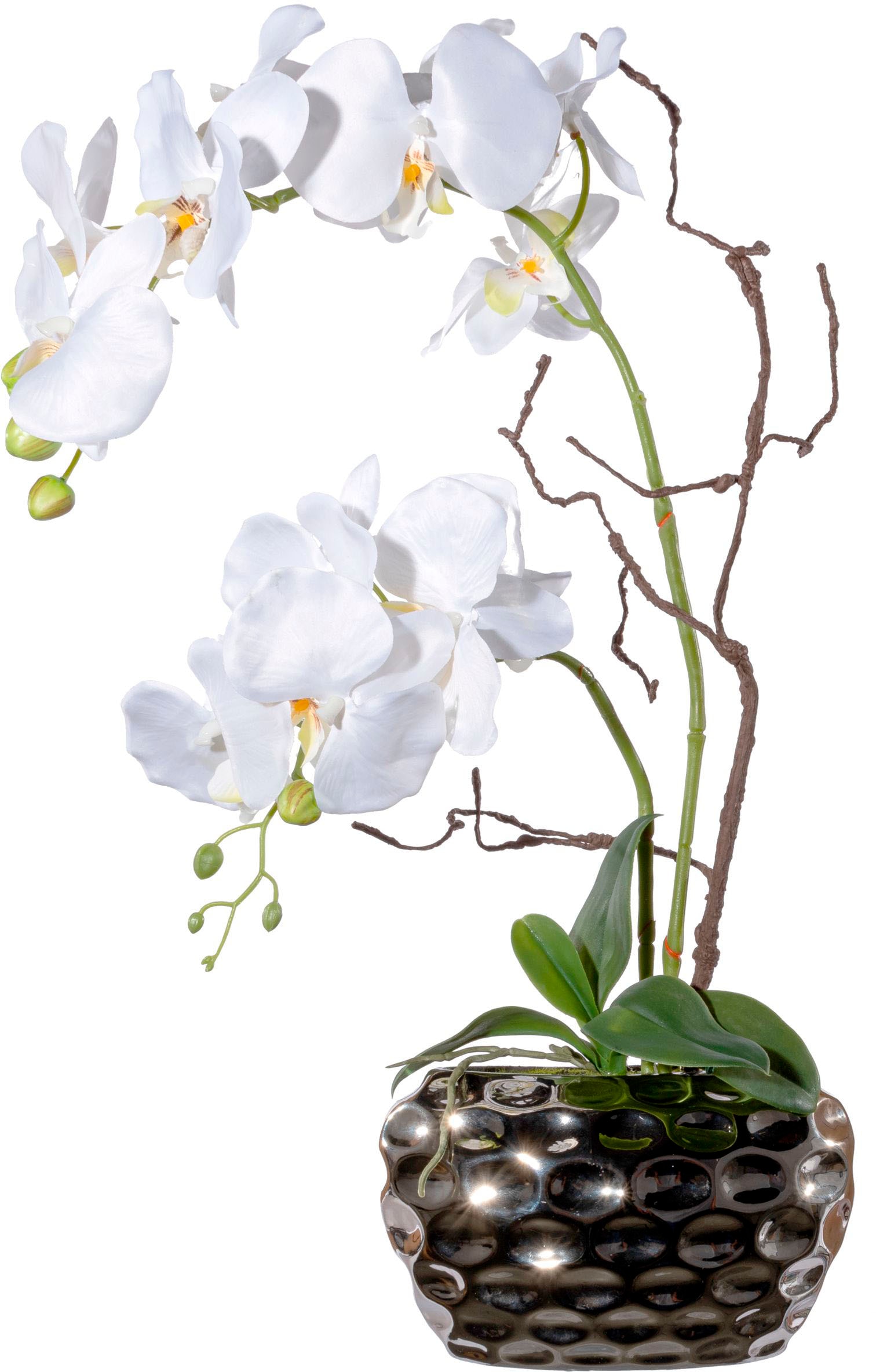 Creativ green Kunstorchidee »Phalaenopsis«, (1 St.), im Keramikschiff  bestellen online bei OTTO | Kunstorchideen